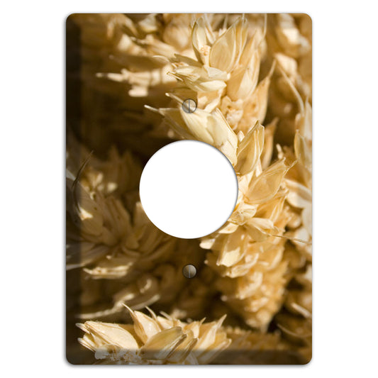 Wheat Single Receptacle Wallplate