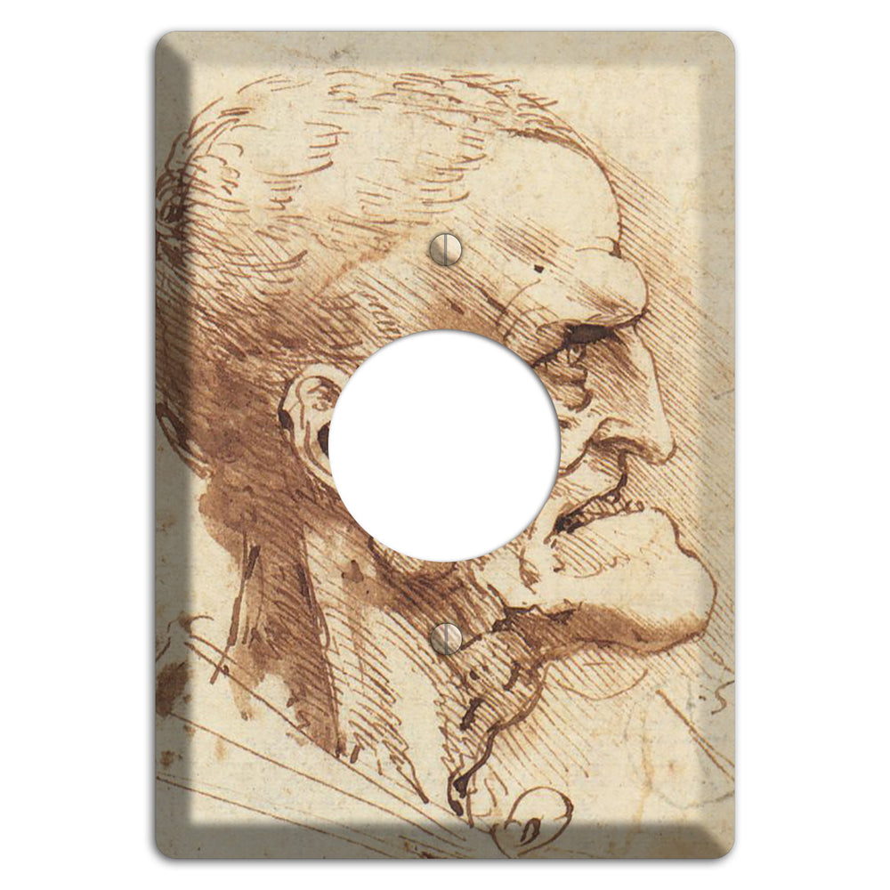 Da Vinci - Grotesque Profile Single Receptacle Wallplate
