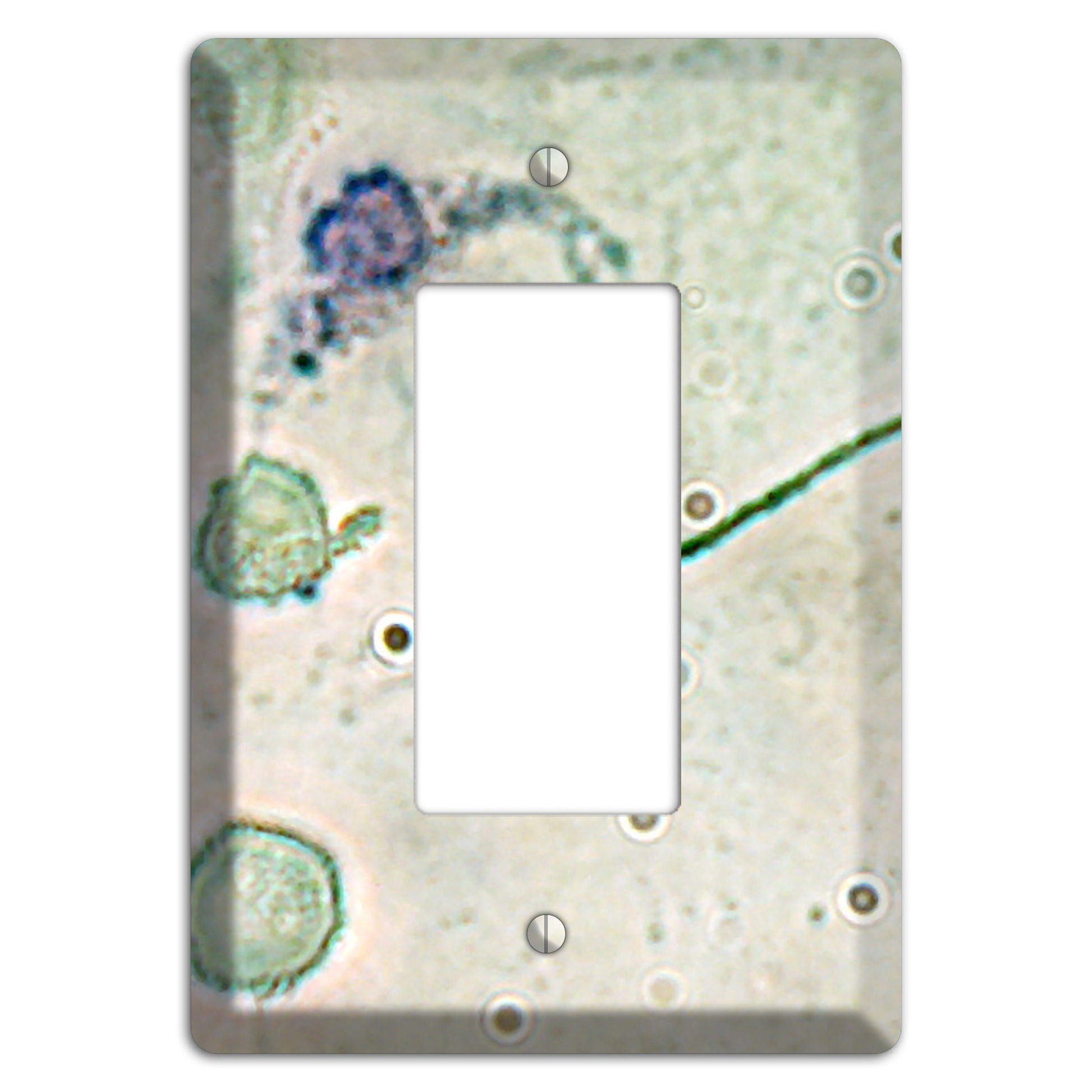 Macrophage Rocker Wallplate