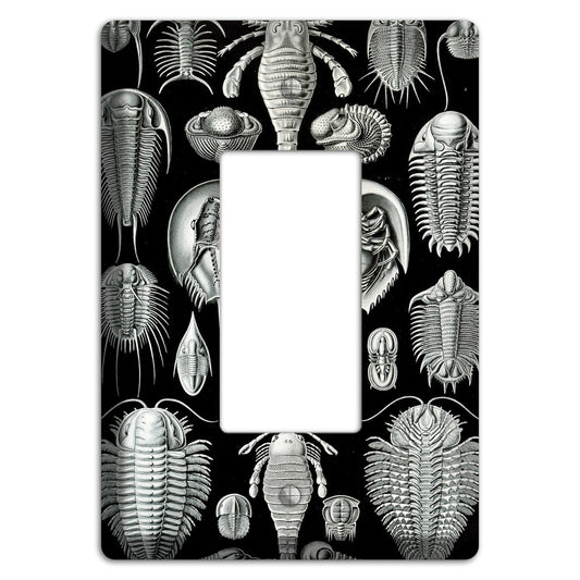 Haeckel - Aspidonia Rocker Wallplate
