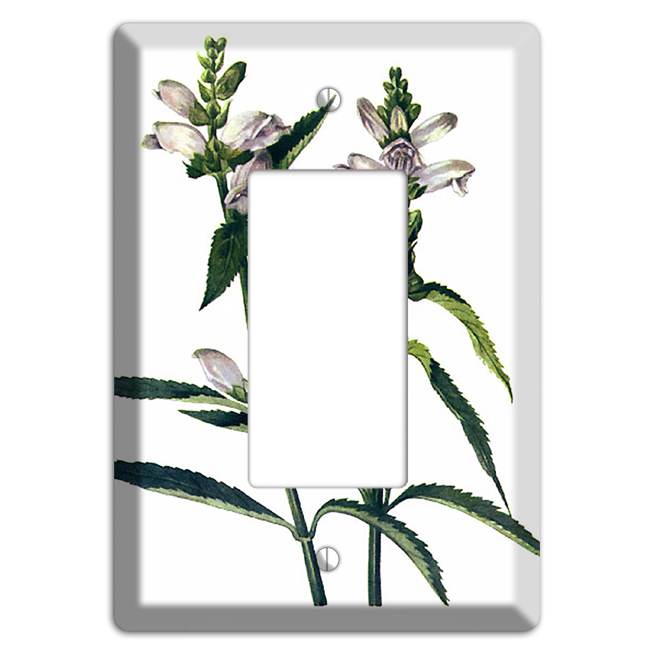 Chelone Glabra Rocker Wallplate
