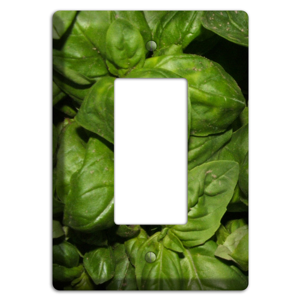 Basil Rocker Wallplate