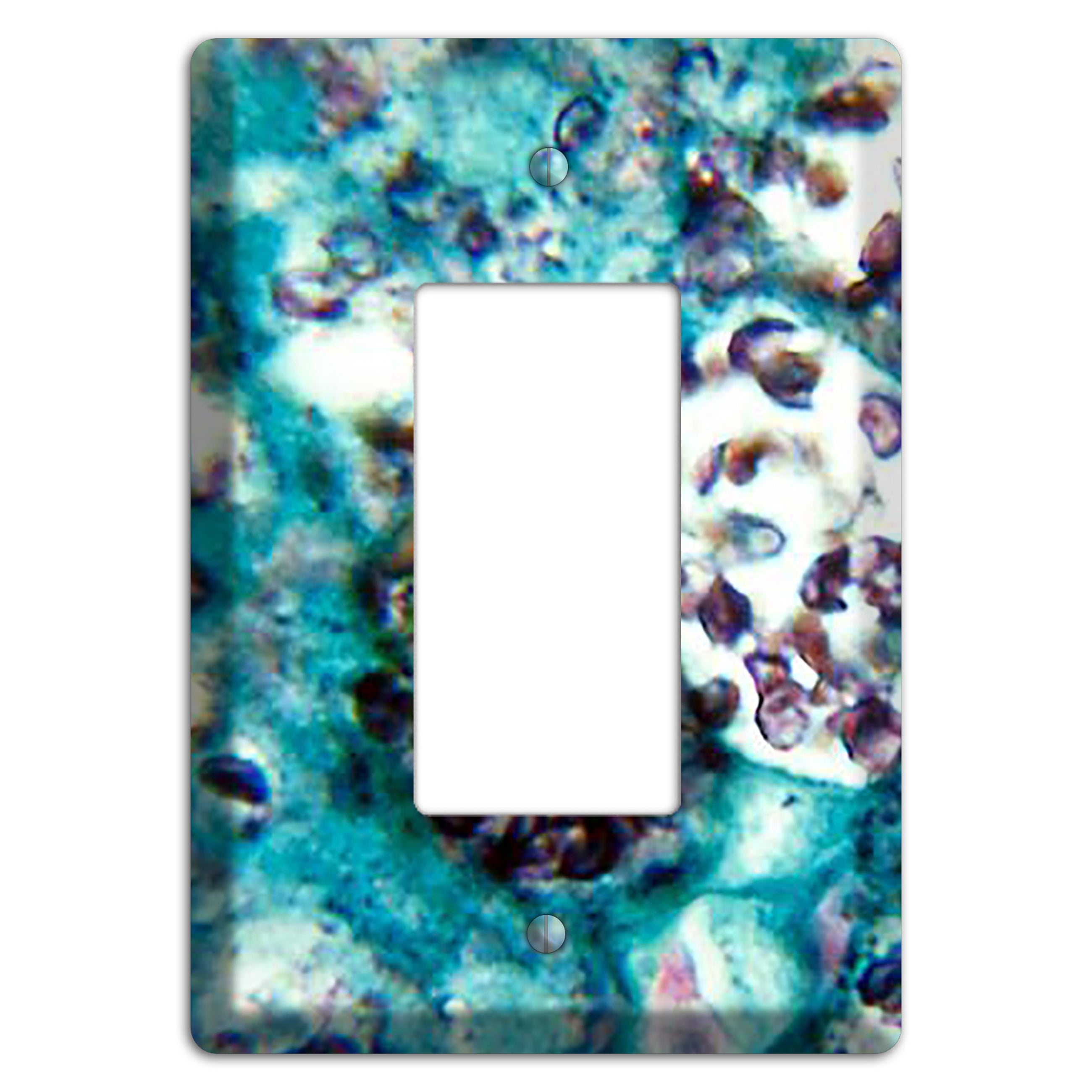 Histoplasmosis Capsulatum Rocker Wallplate