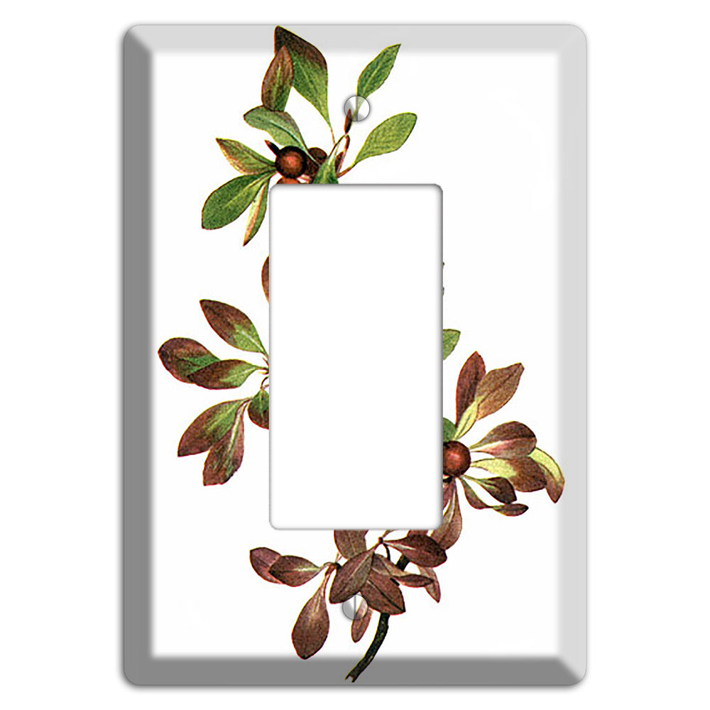 Arietustaphylos Alpha Rocker Wallplate
