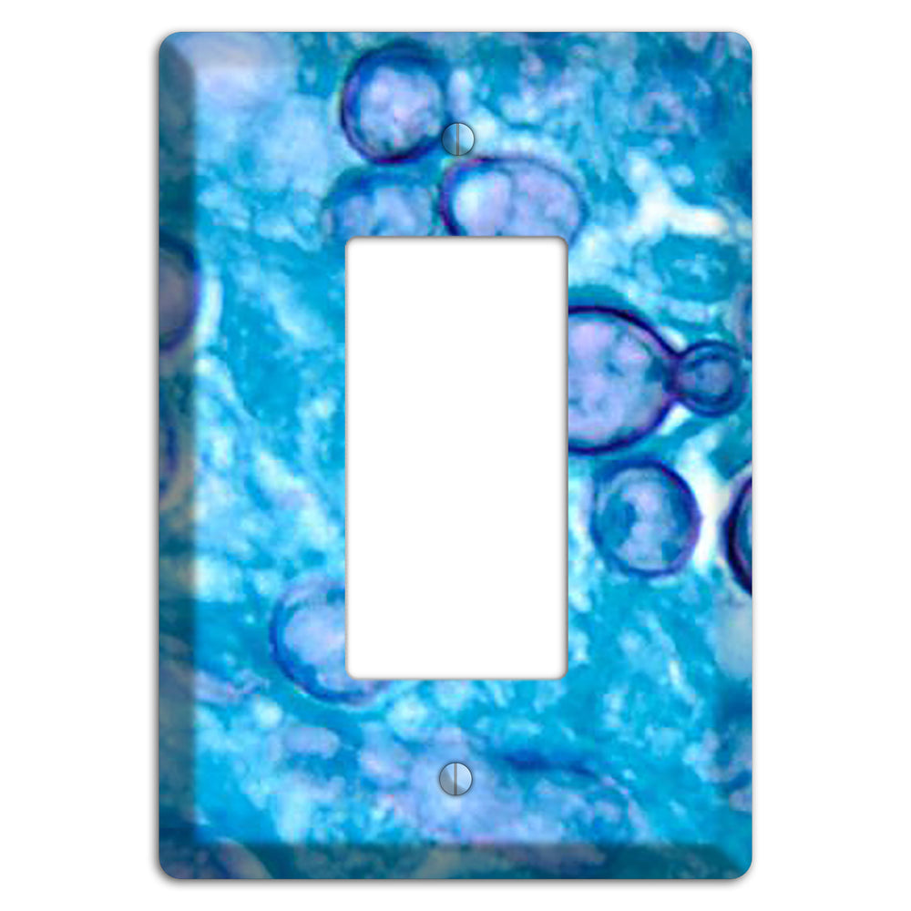 Histoplasma Capsulatum Duboisii Rocker Wallplate