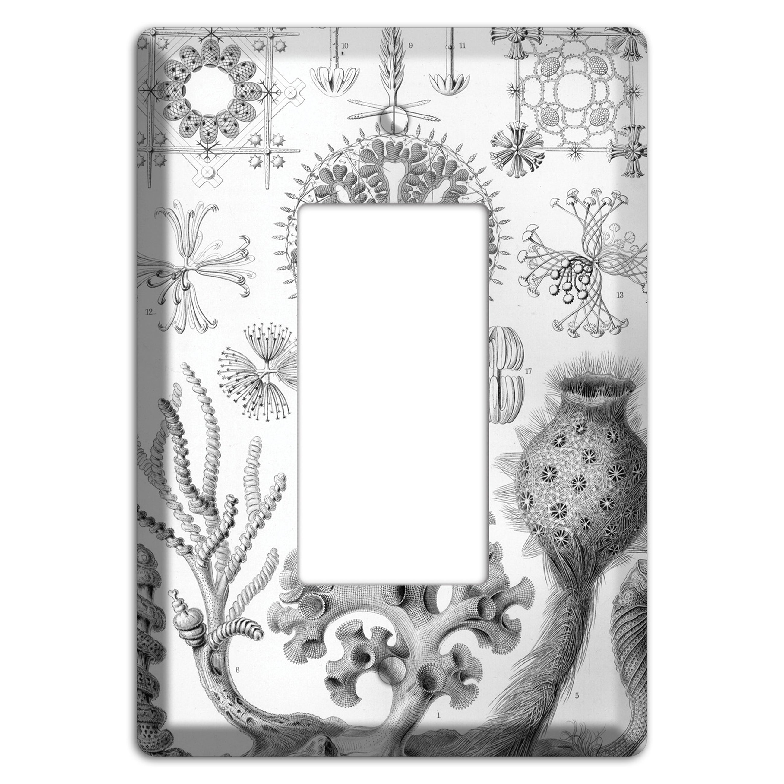 Haeckel - Hexactinellae Rocker Wallplate