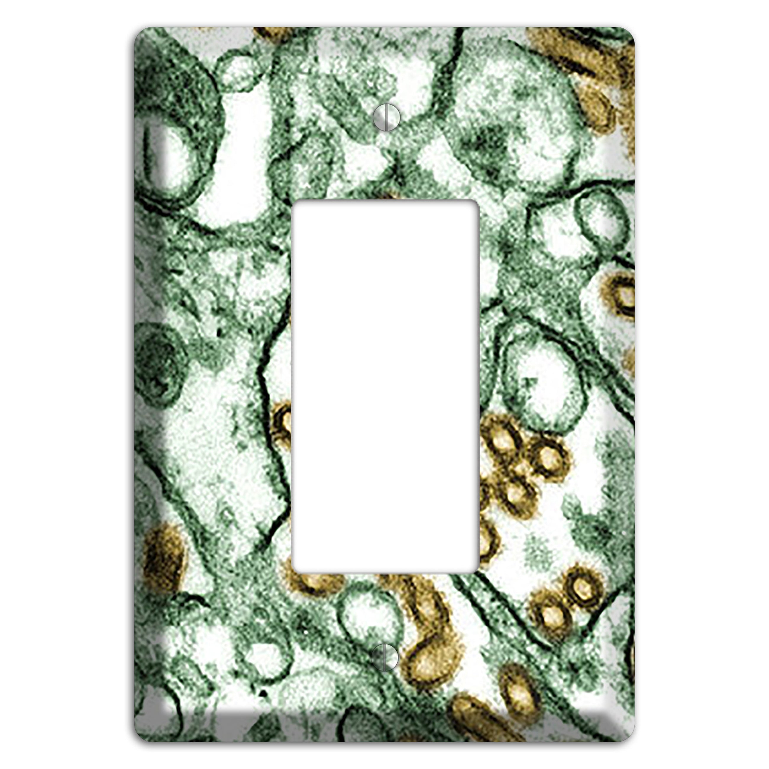 influenza A H5N1 Rocker Wallplate