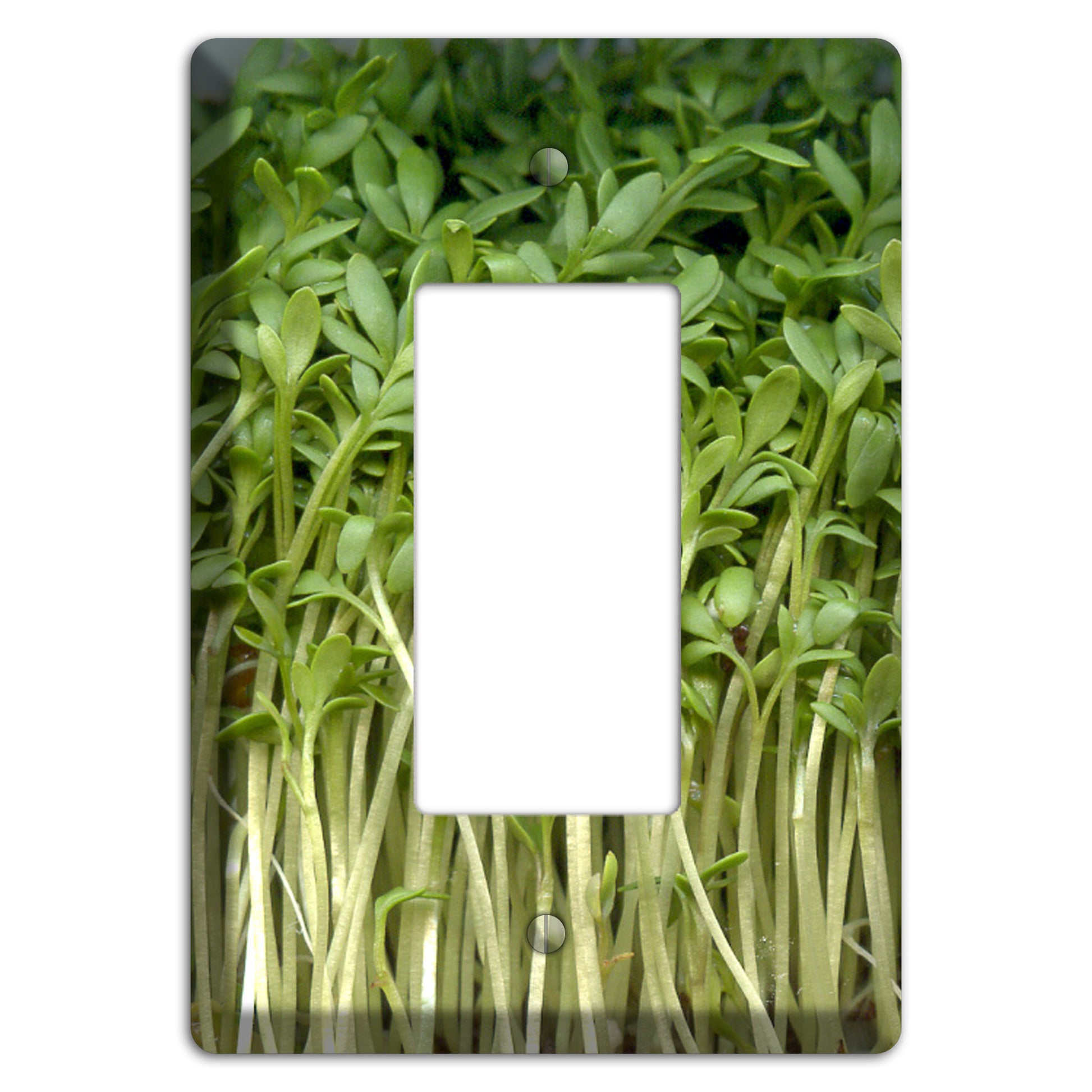 Sprouts Rocker Wallplate