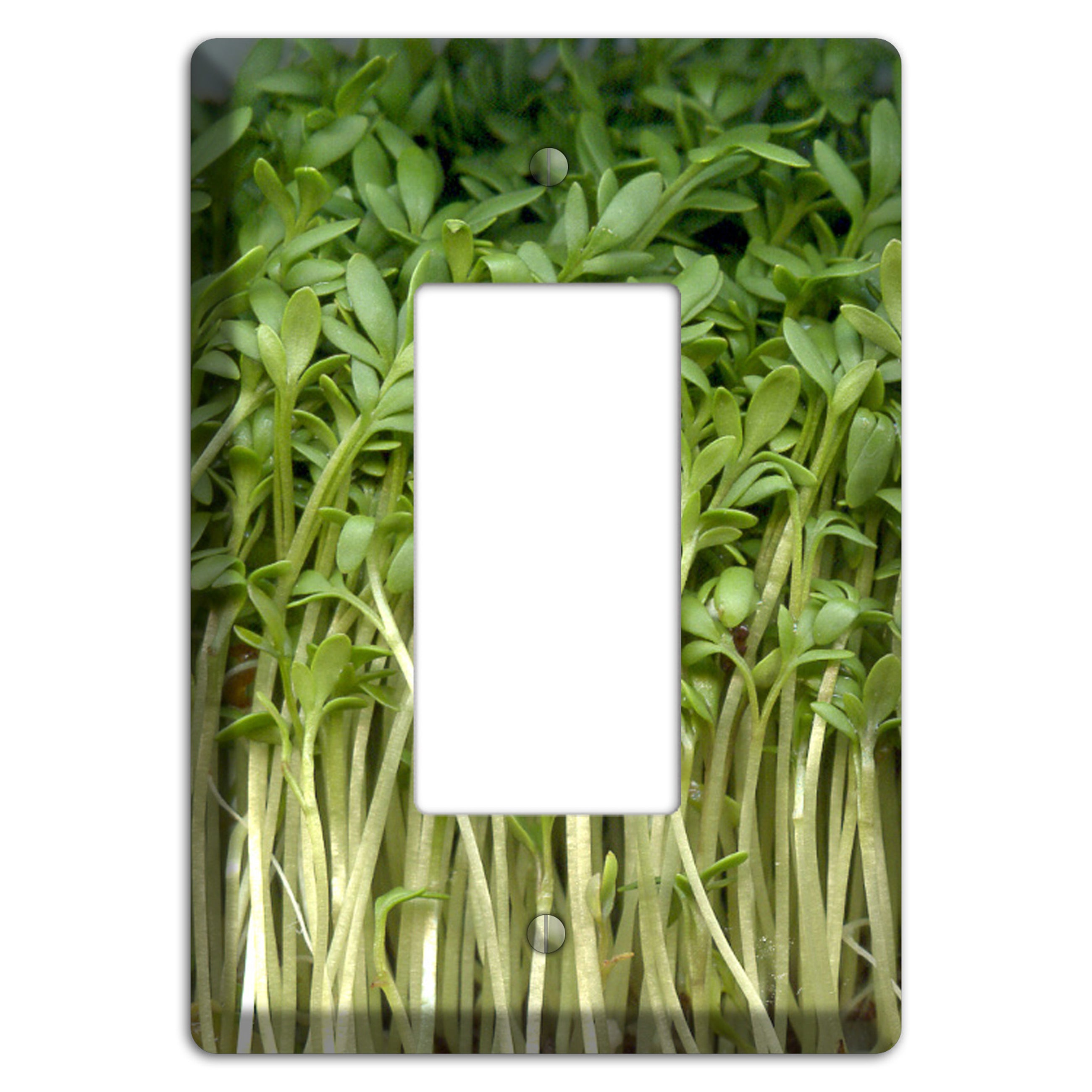 Sprouts Rocker Wallplate