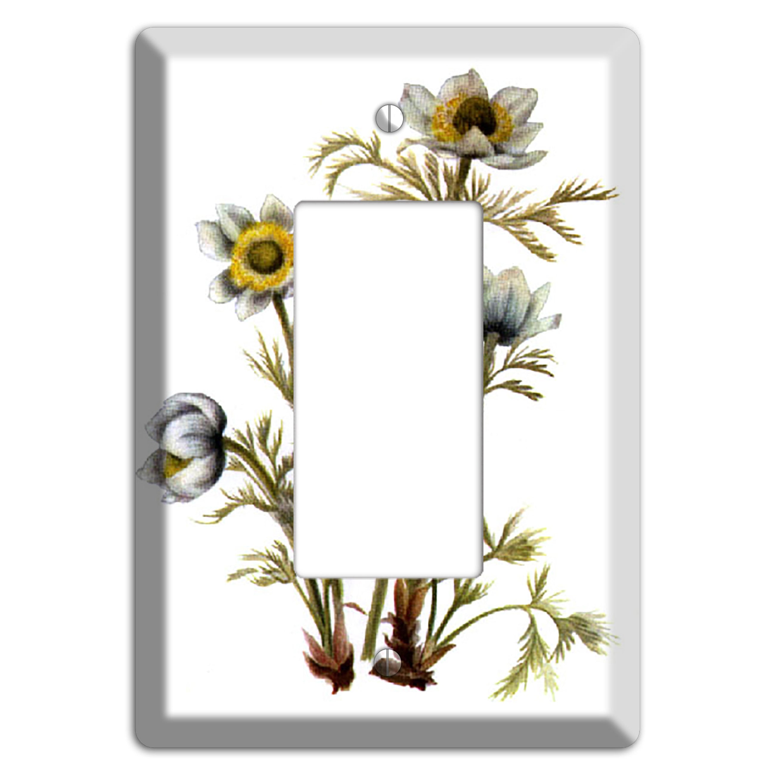 Aenmone Occitentalis Rocker Wallplate