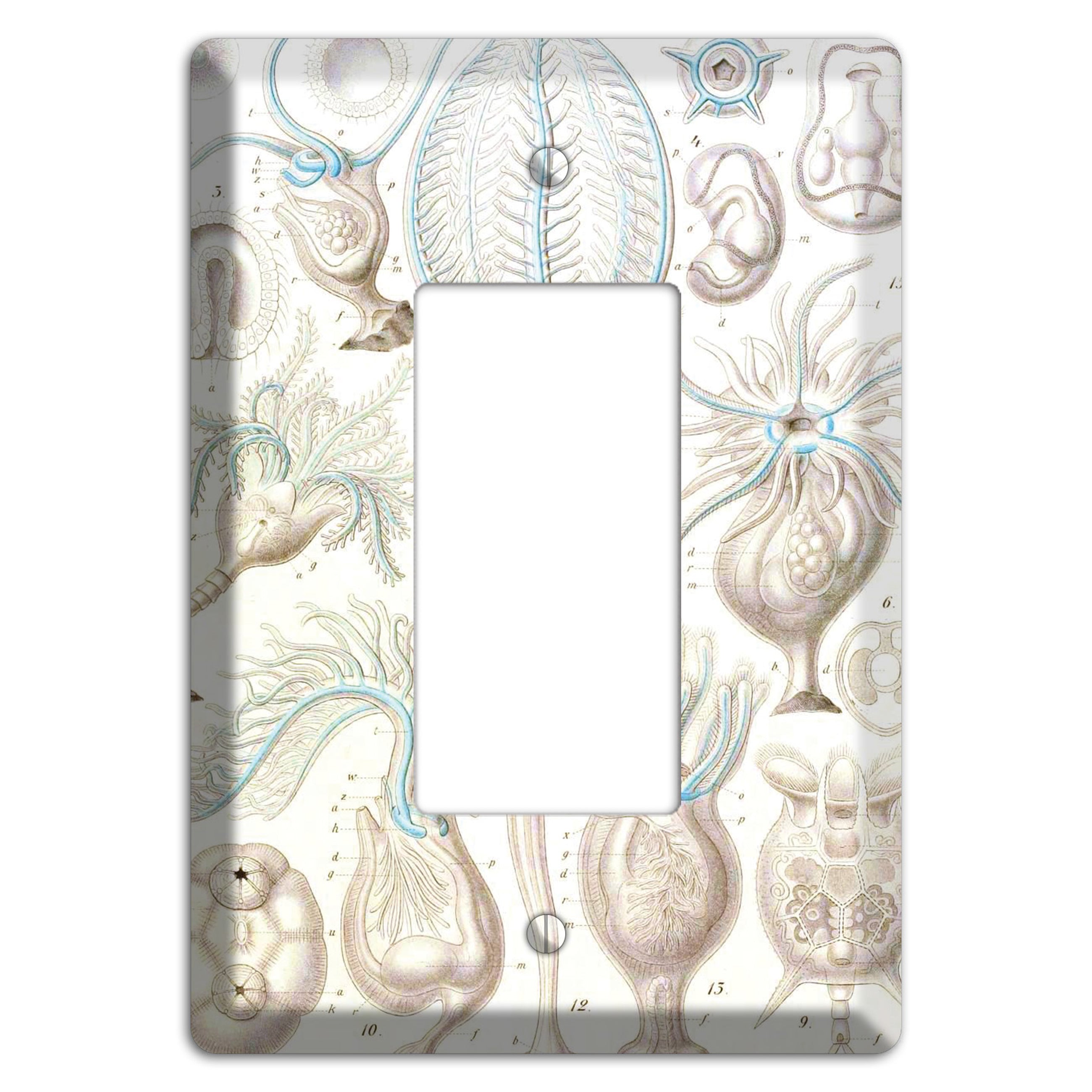 Haeckel - Microscopic Fossil 2 Rocker Wallplate