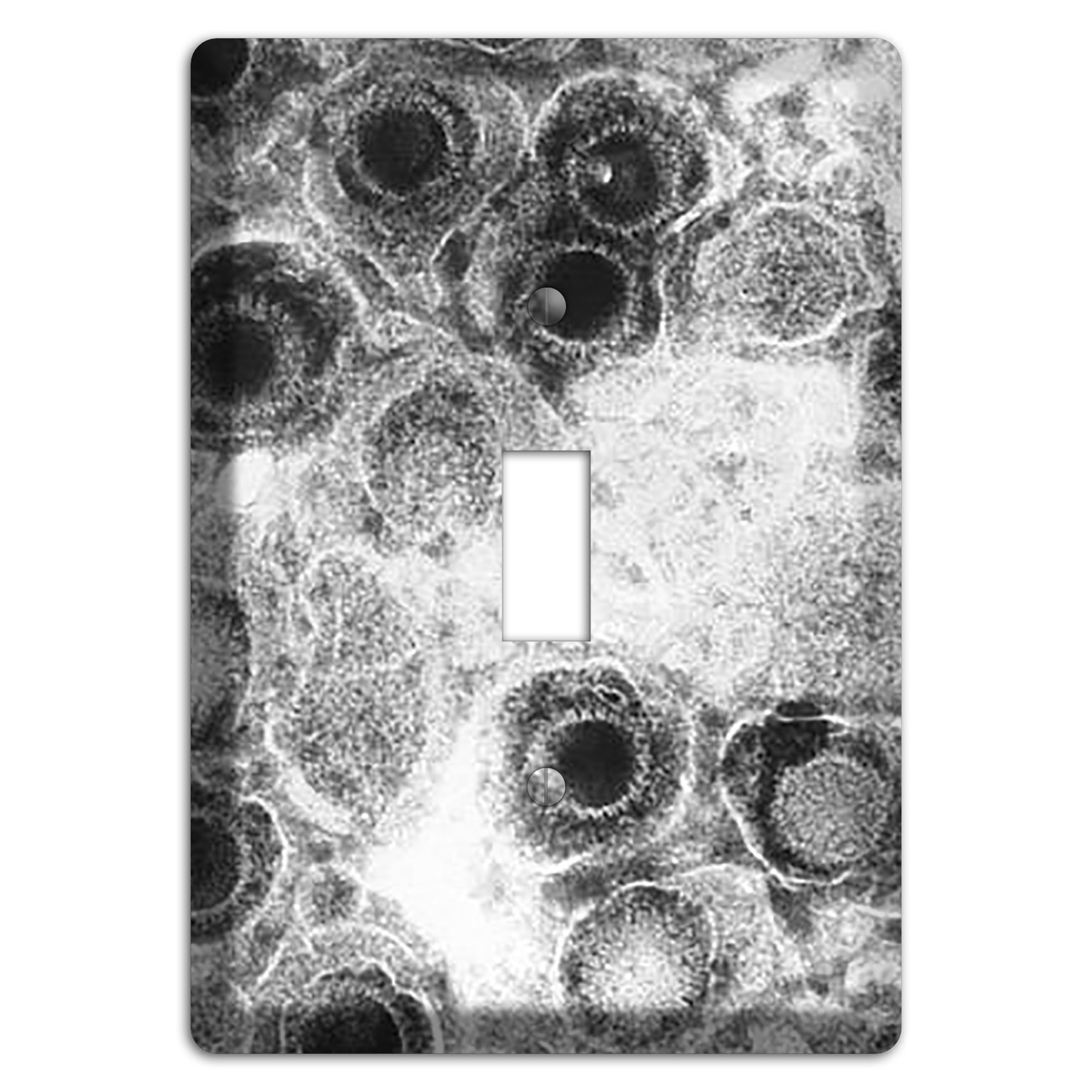 Herpes Simplex Cover Plates