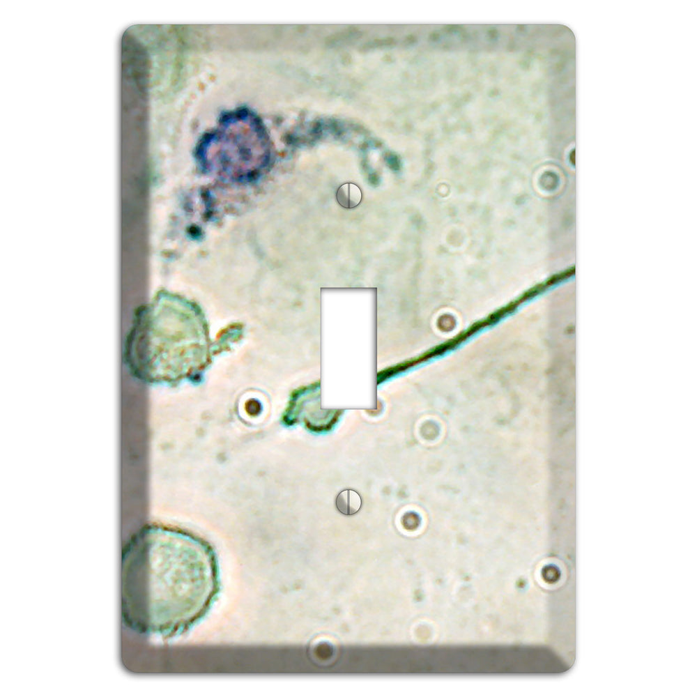 Macrophage Cover Plates
