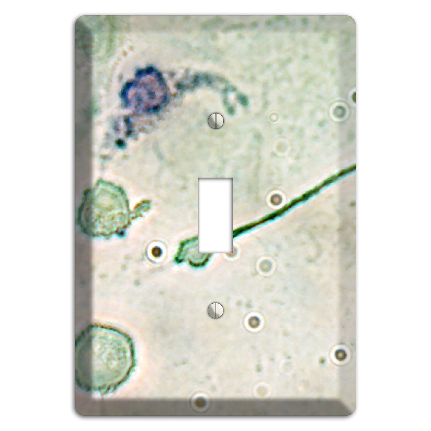 Macrophage Cover Plates