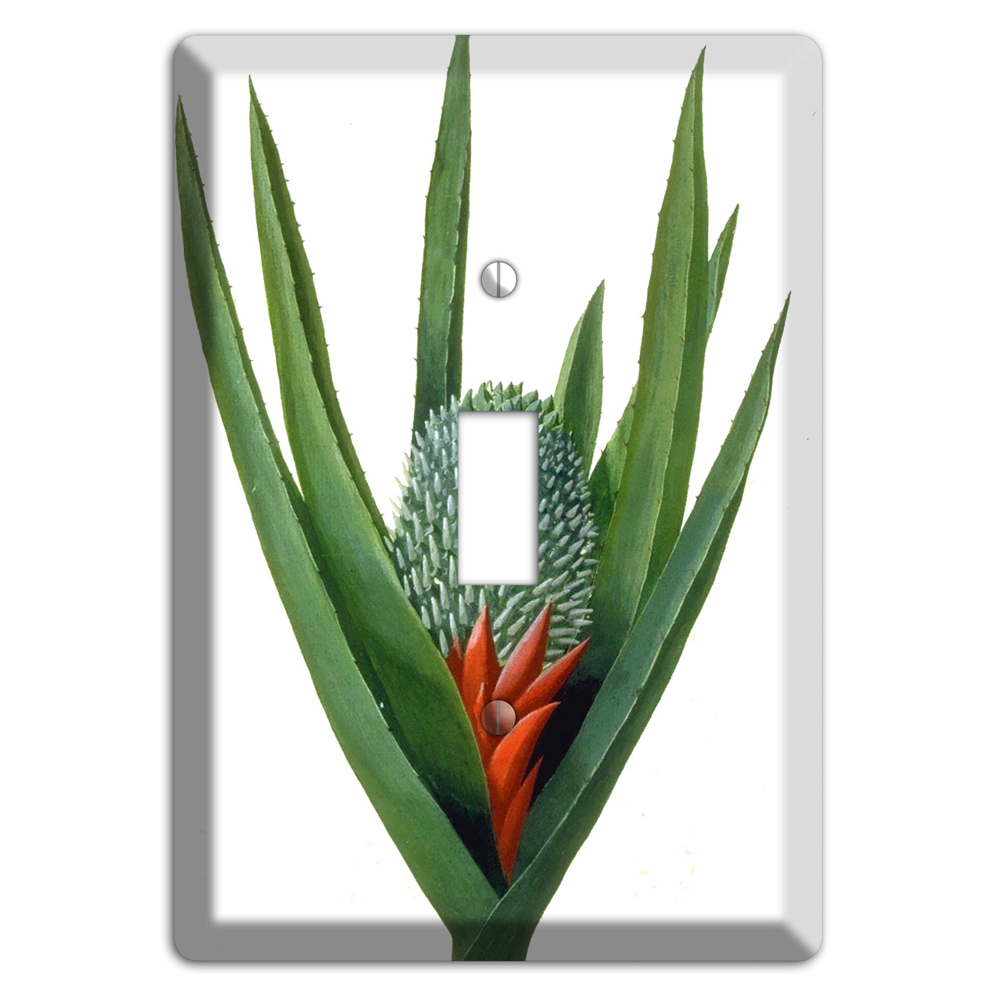 Bromiliad Cover Plates