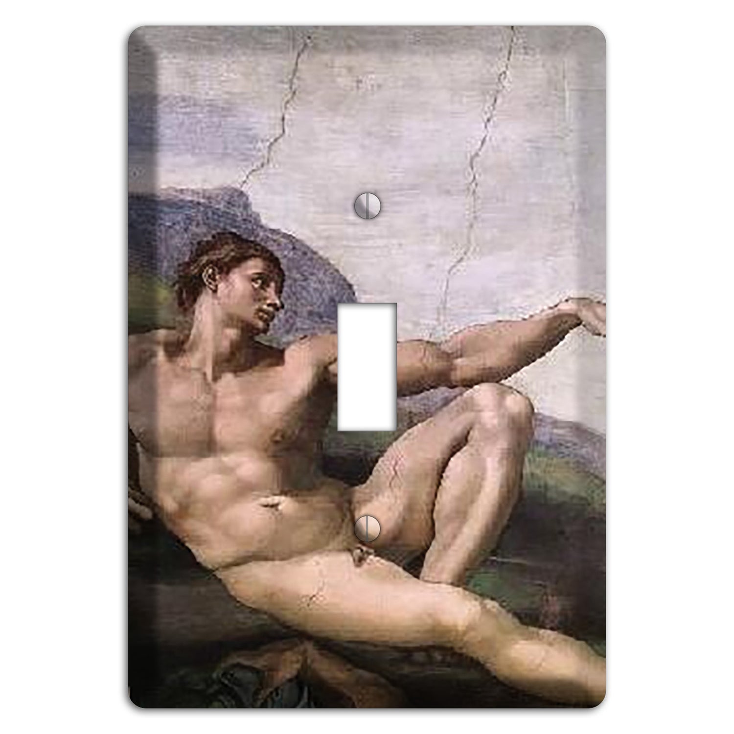 Michelangelo 1 Cover Plates