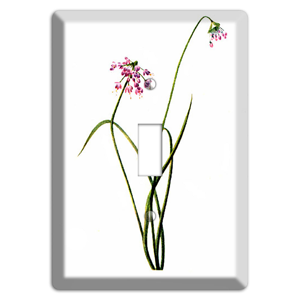Allium Cernum Cover Plates