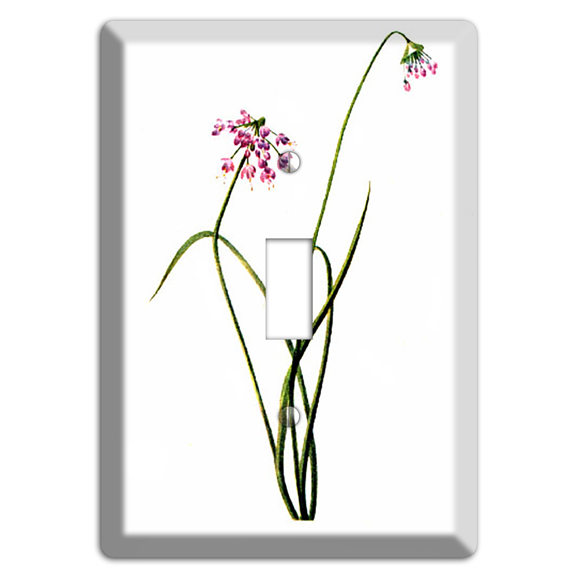 Allium Cernum Cover Plates