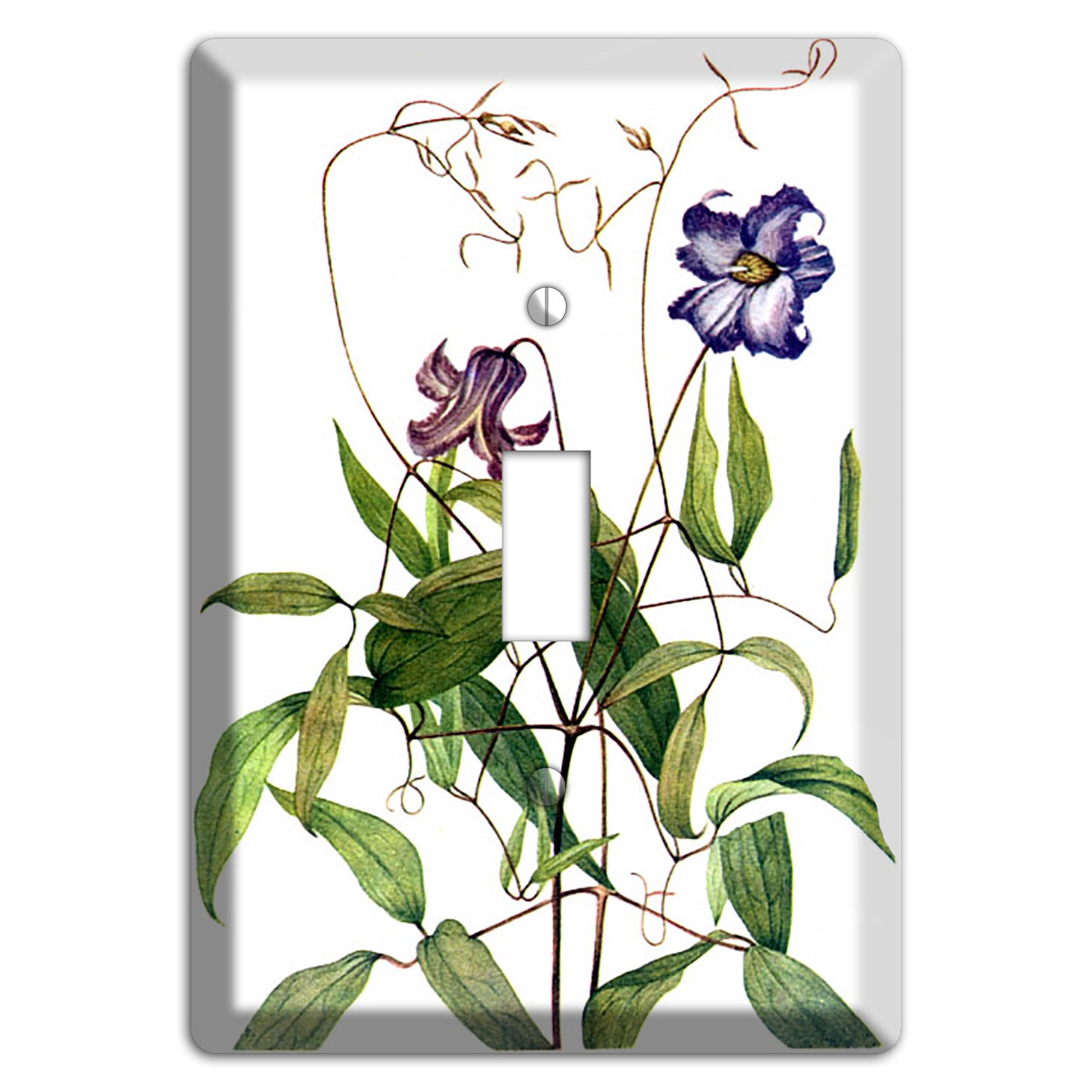 Clematis Crispa Cover Plates