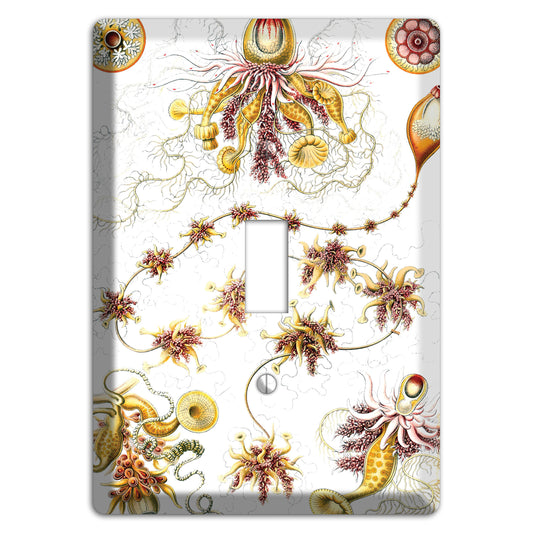Haeckel - Siphonophorae Cover Plates