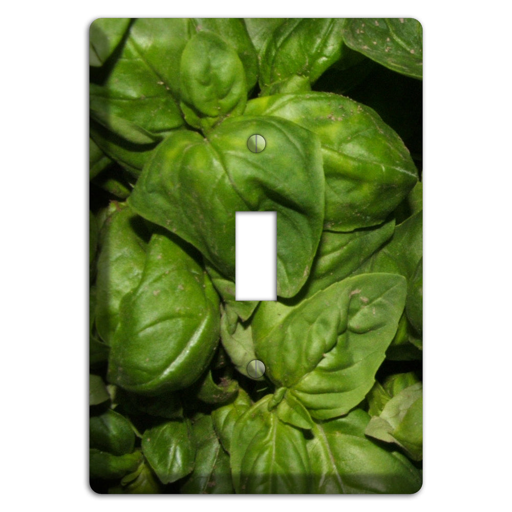 Basil Cover Plates