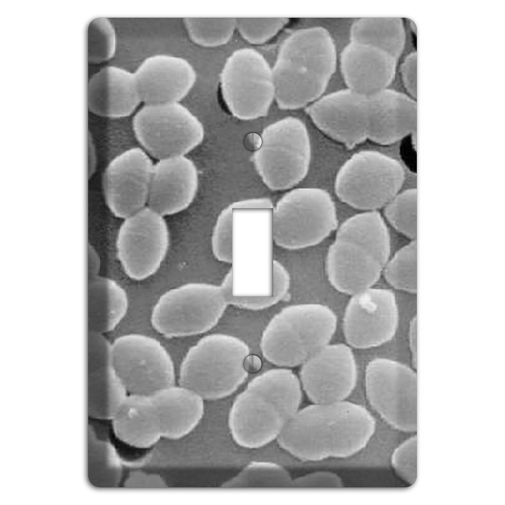 Entercoccus Cover Plates