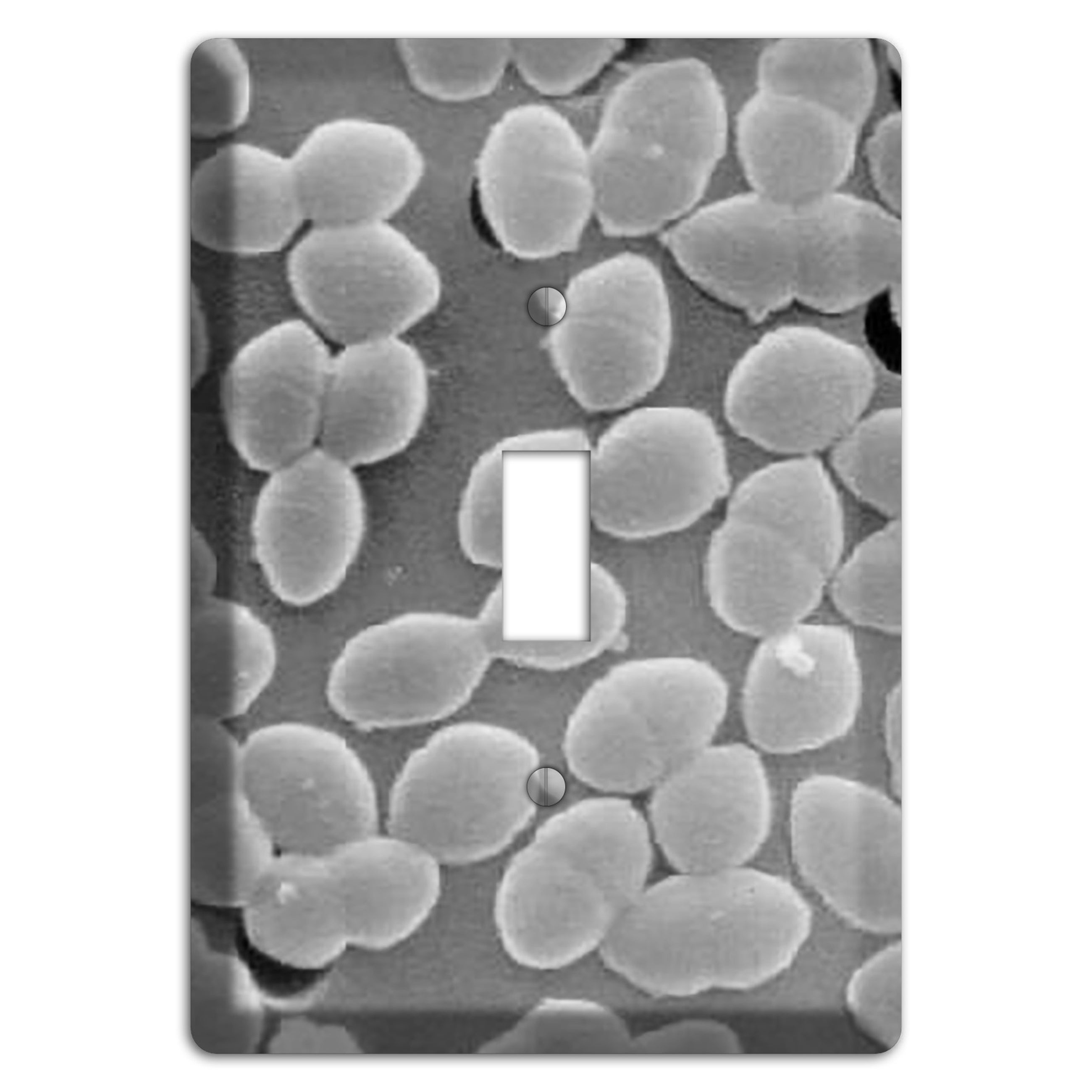 Entercoccus Cover Plates