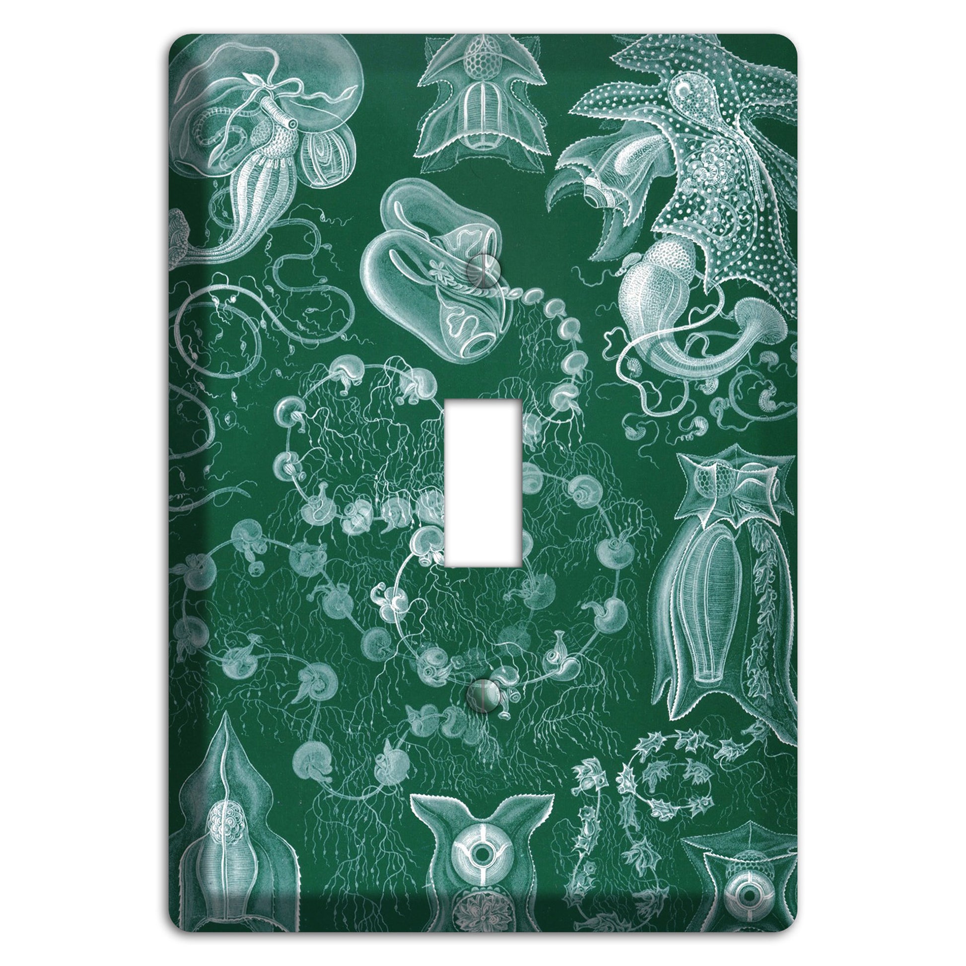 Haeckel - Siphonophorae 2 Cover Plates