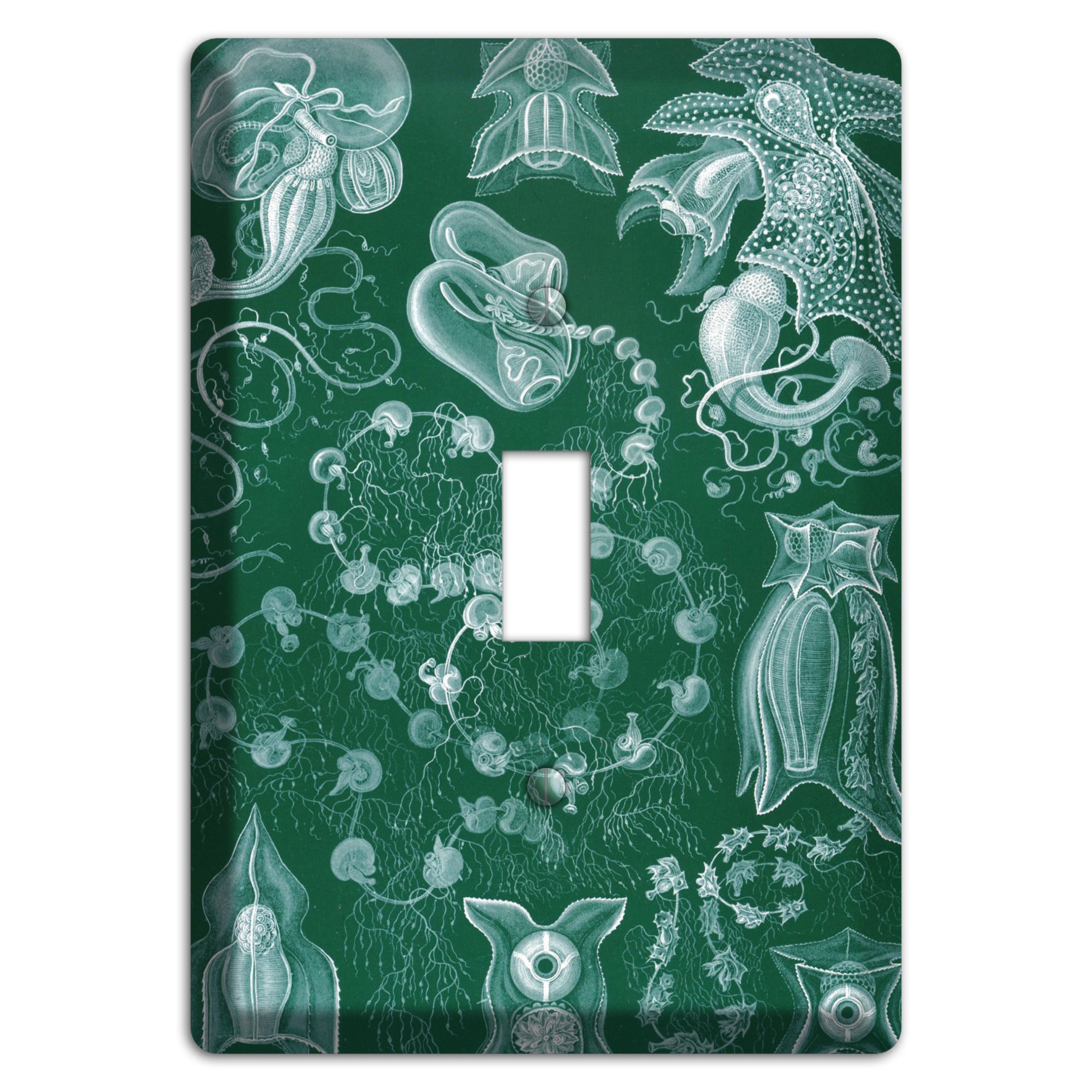 Haeckel - Siphonophorae 2 Cover Plates