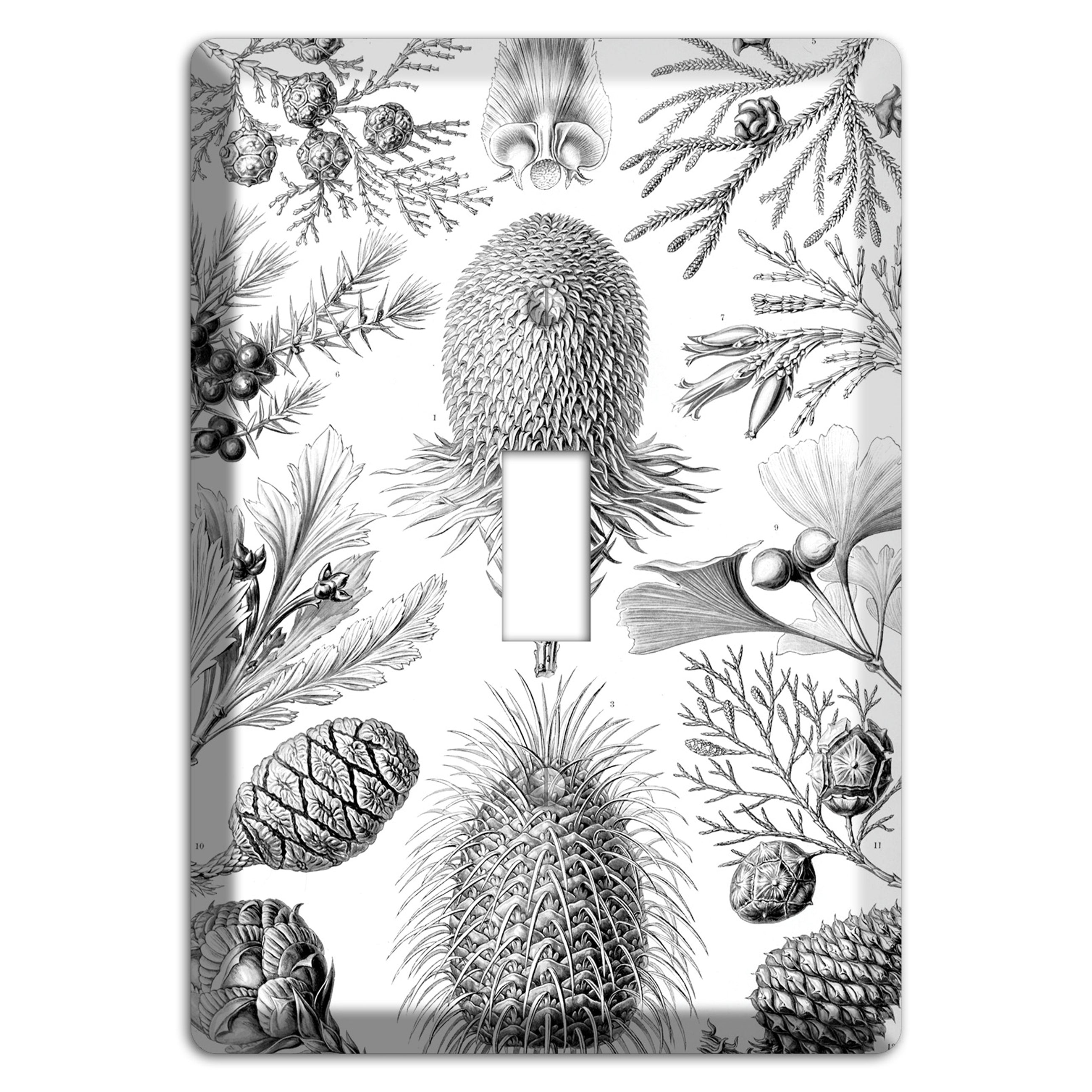 Haeckel - Coniferae Cover Plates