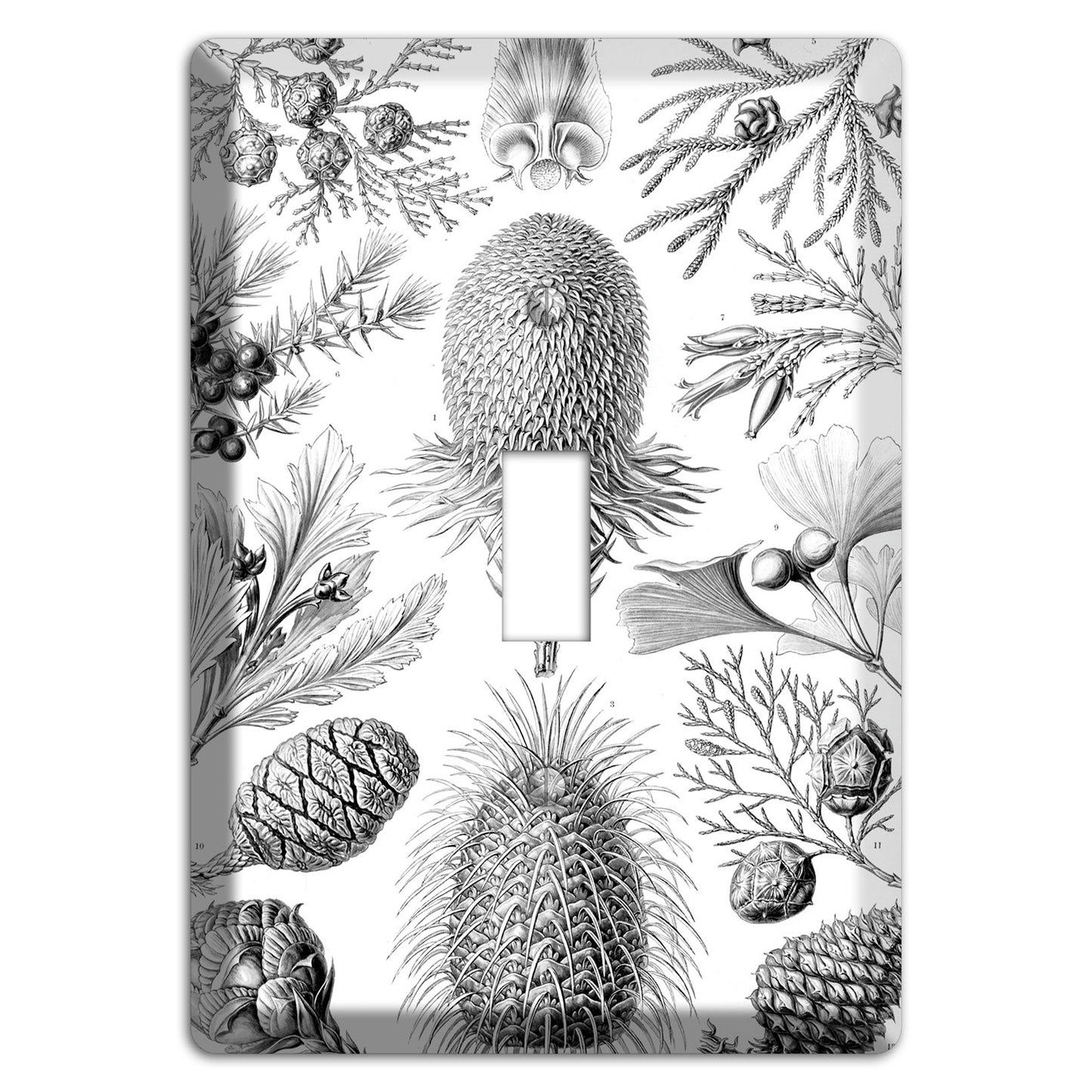 Haeckel - Coniferae Cover Plates