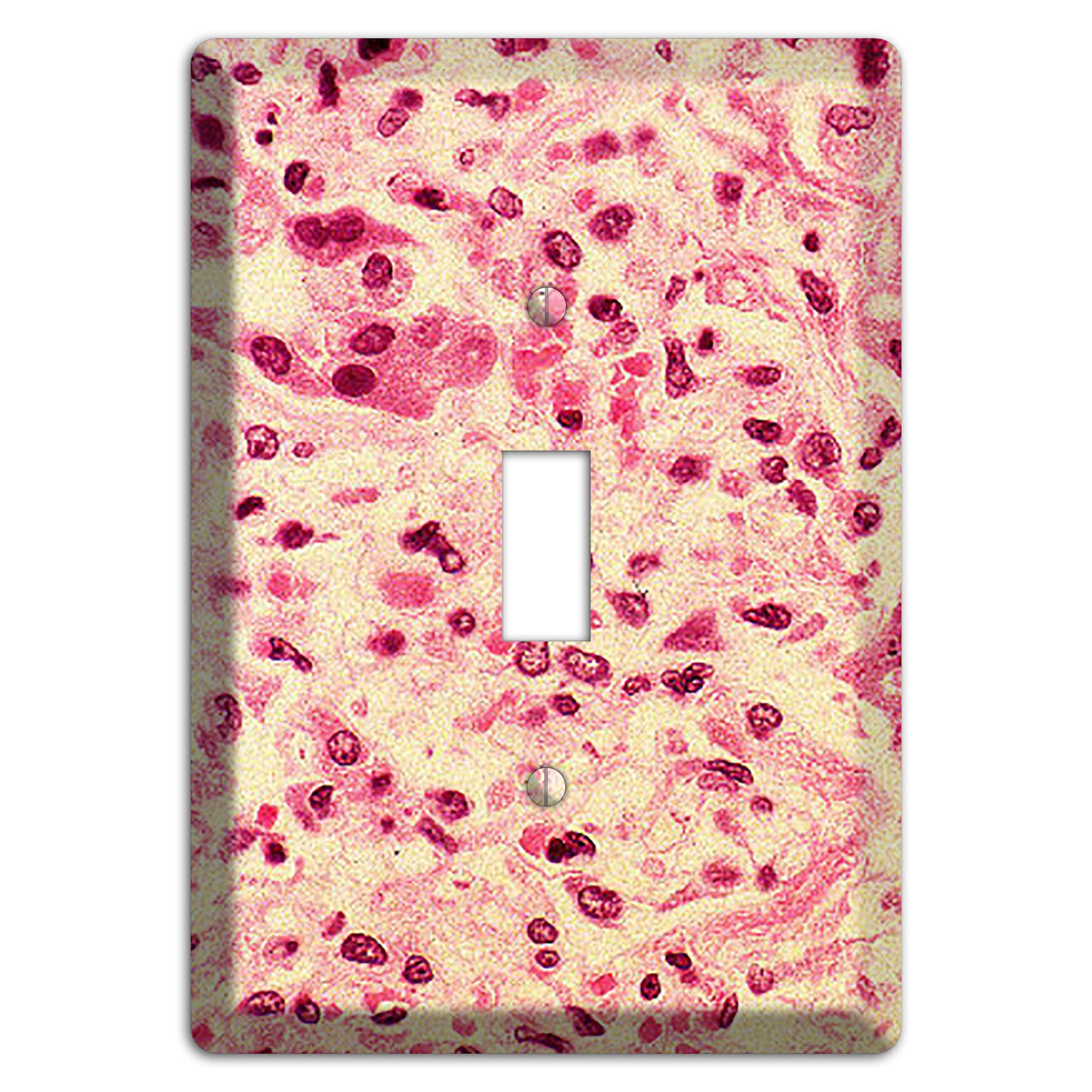 Morbillo Cover Plates