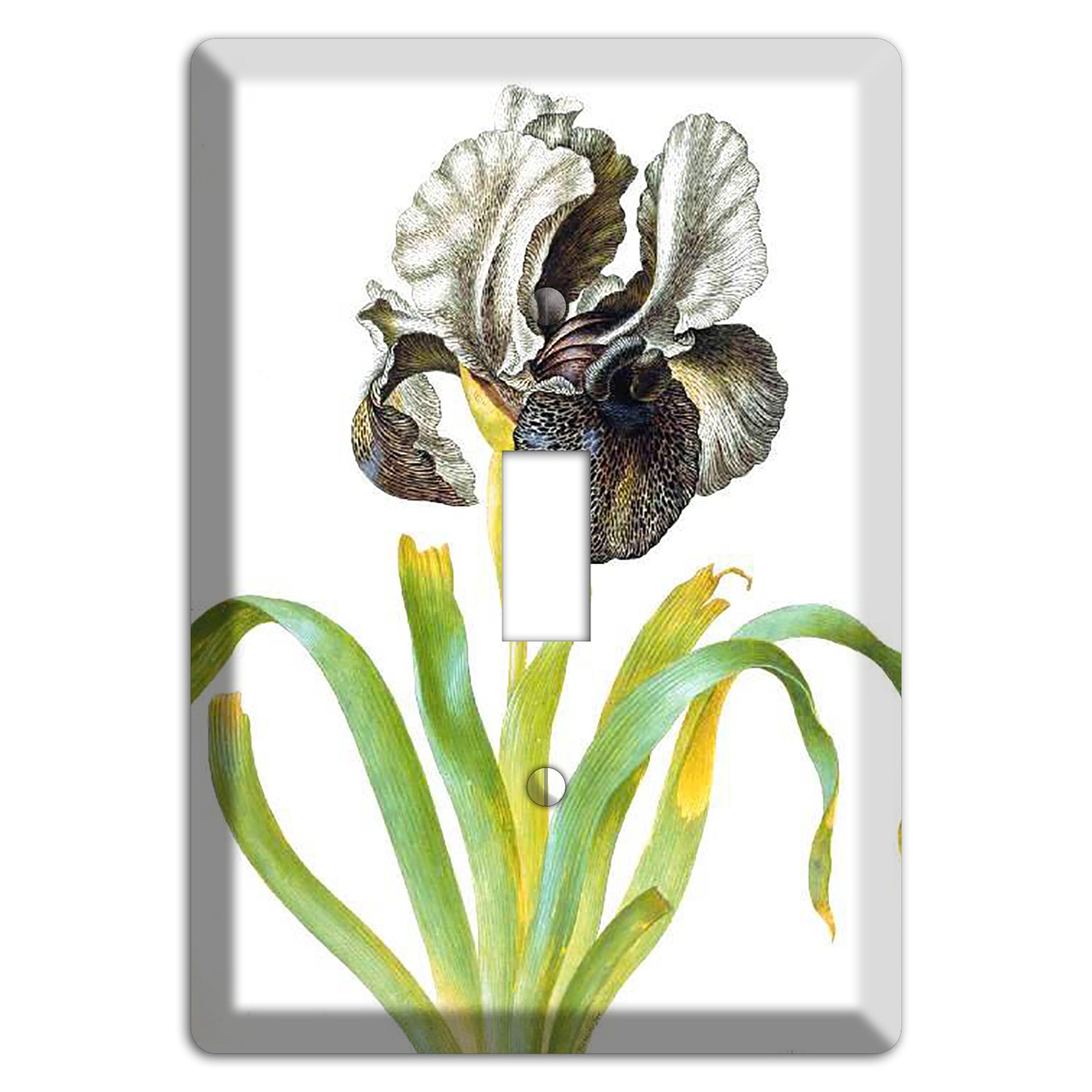 Susaniana Cover Plates