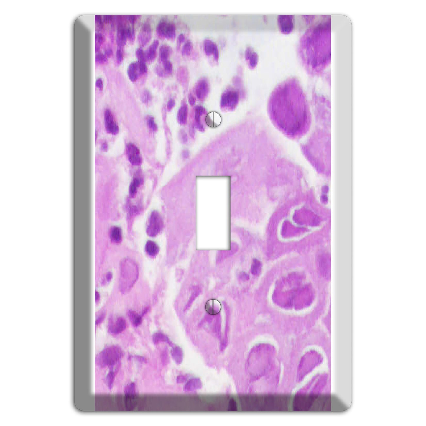 Esophagus Herpes Cover Plates