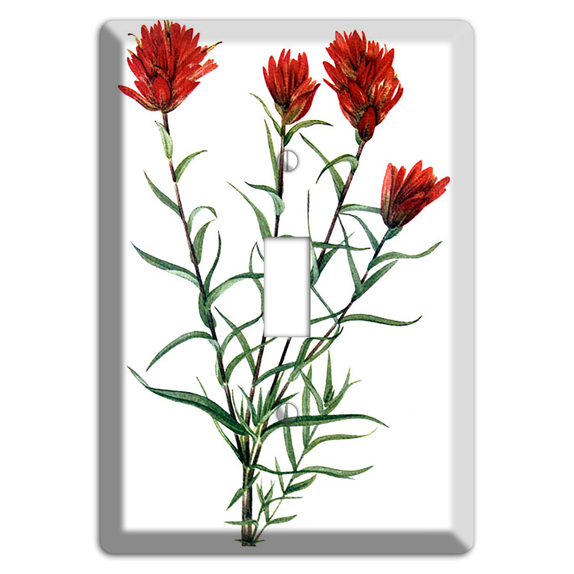 Castilleja Linarifolia Cover Plates