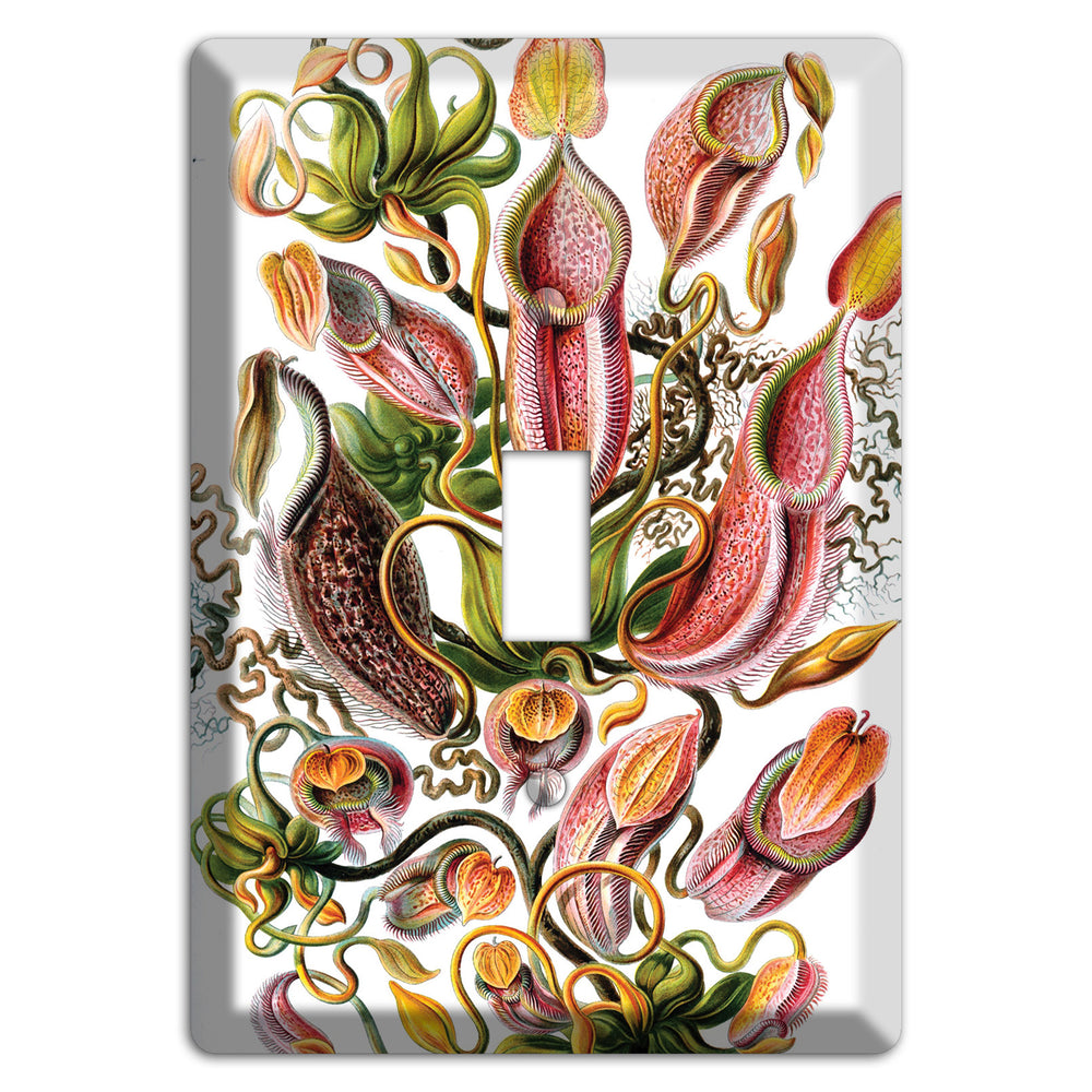 Haeckel - Nepenthaceae Cover Plates