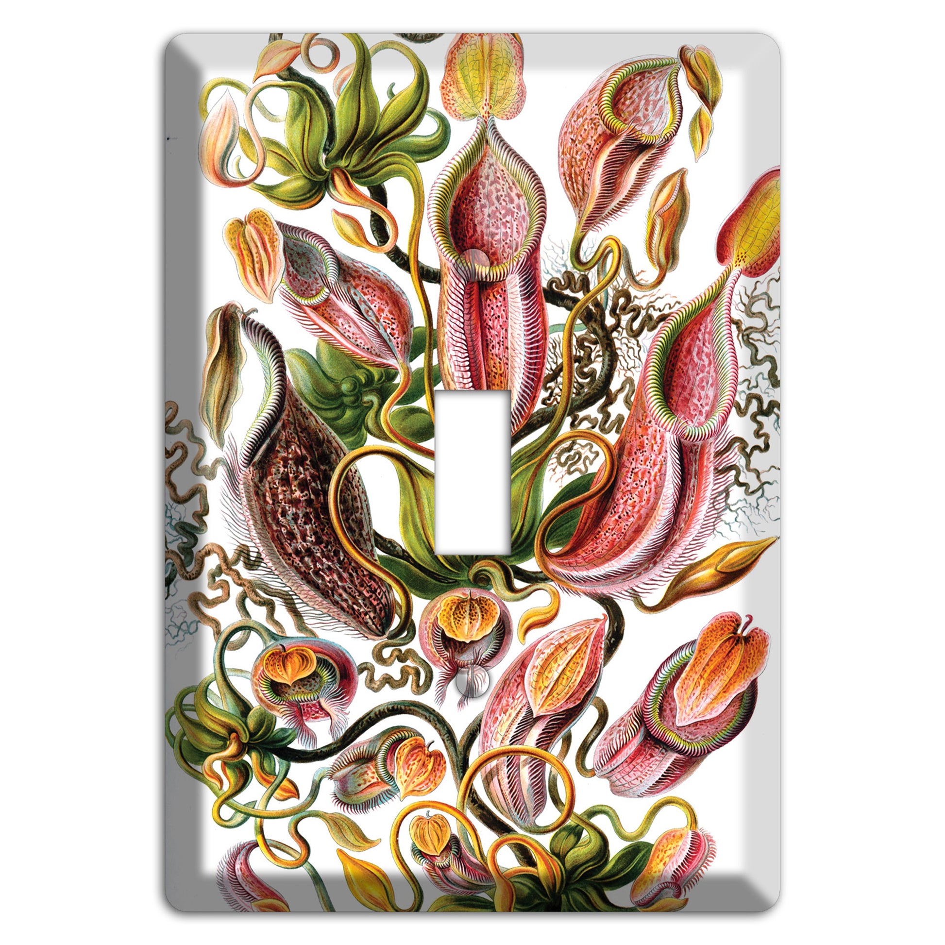 Haeckel - Nepenthaceae Cover Plates