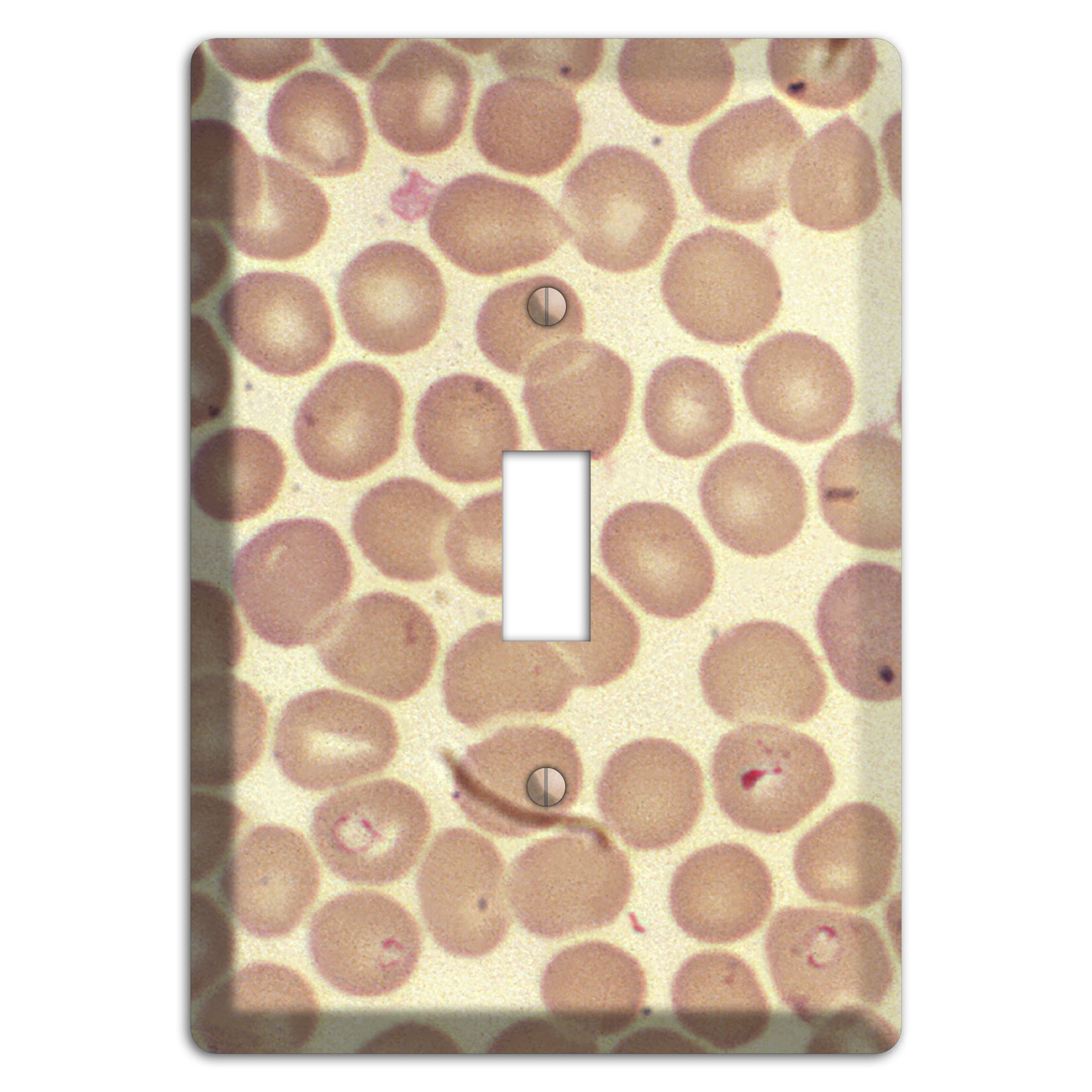 Babiesa Cover Plates