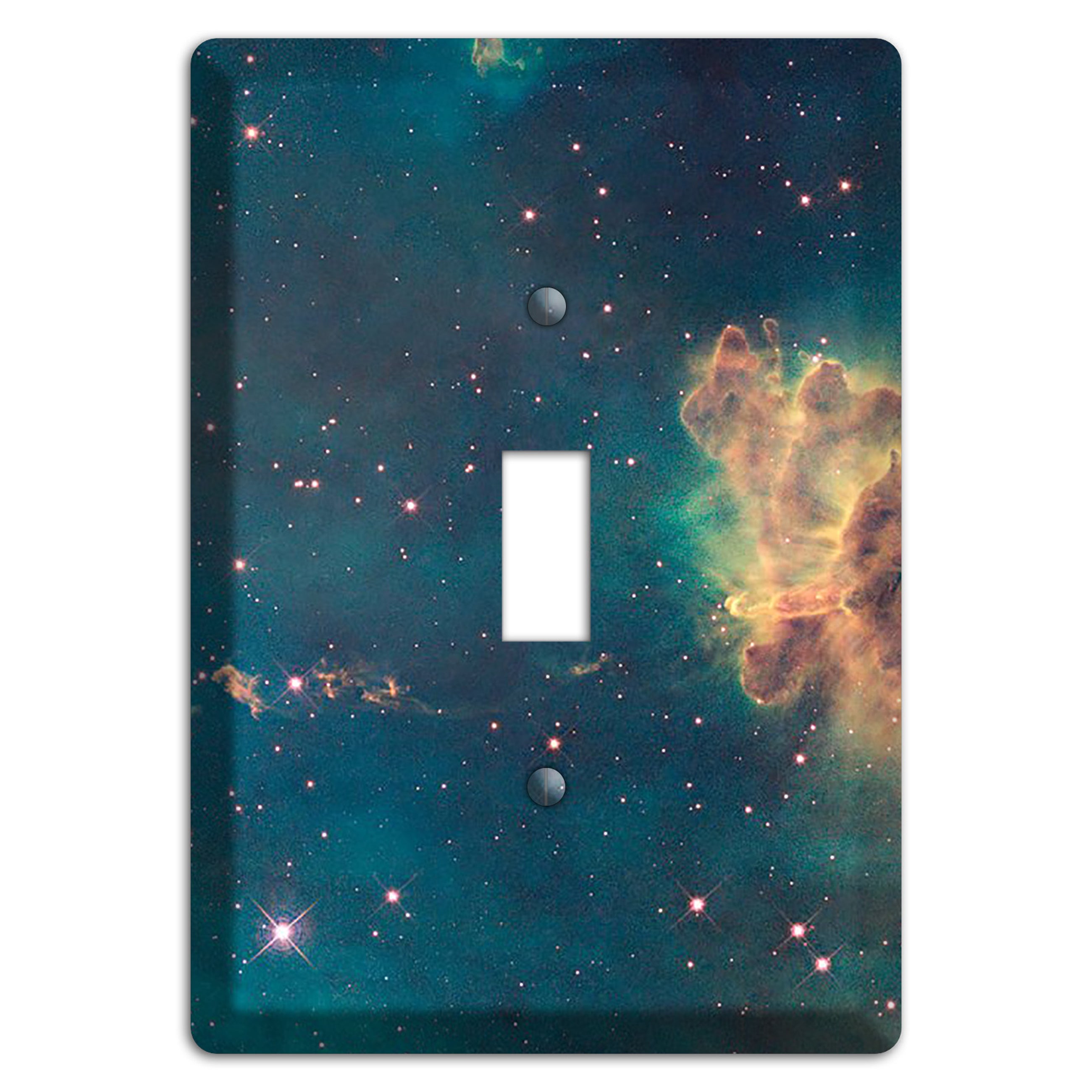 heic0910e Cover Plates