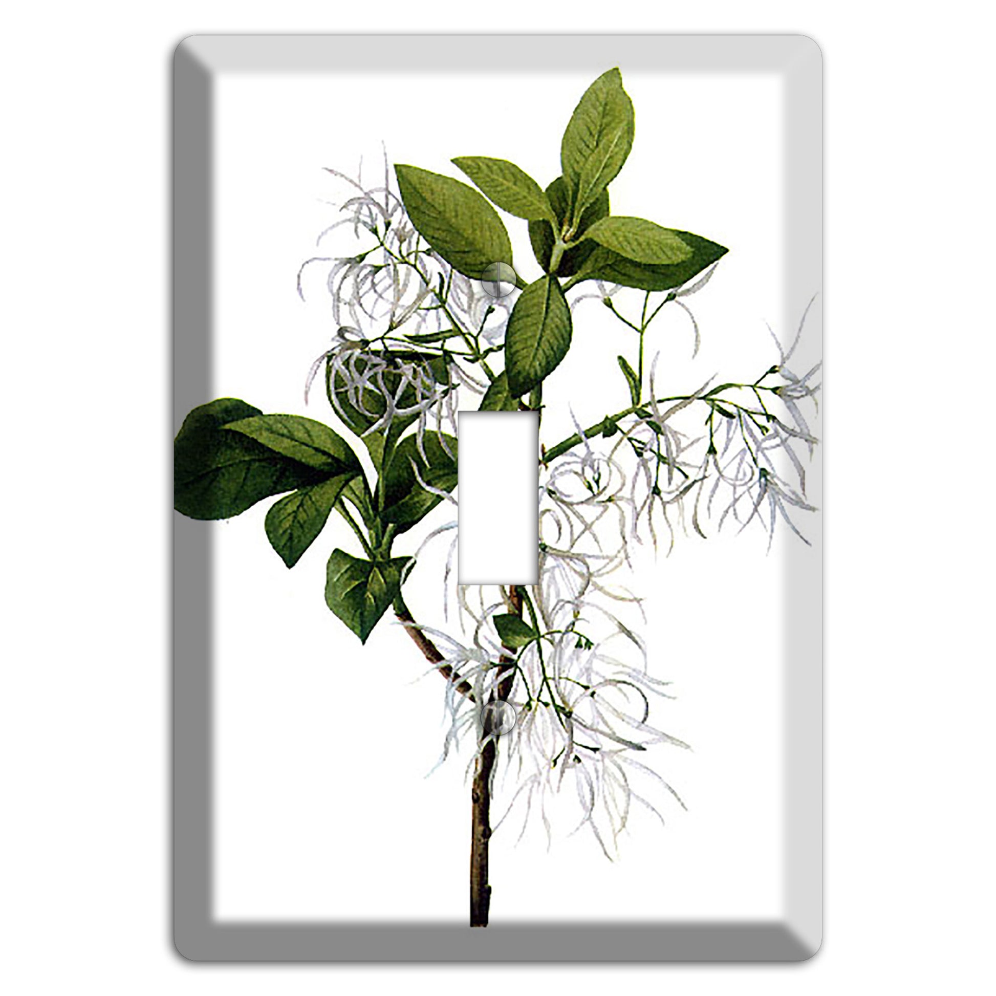 Chionathus Virginiana Cover Plates