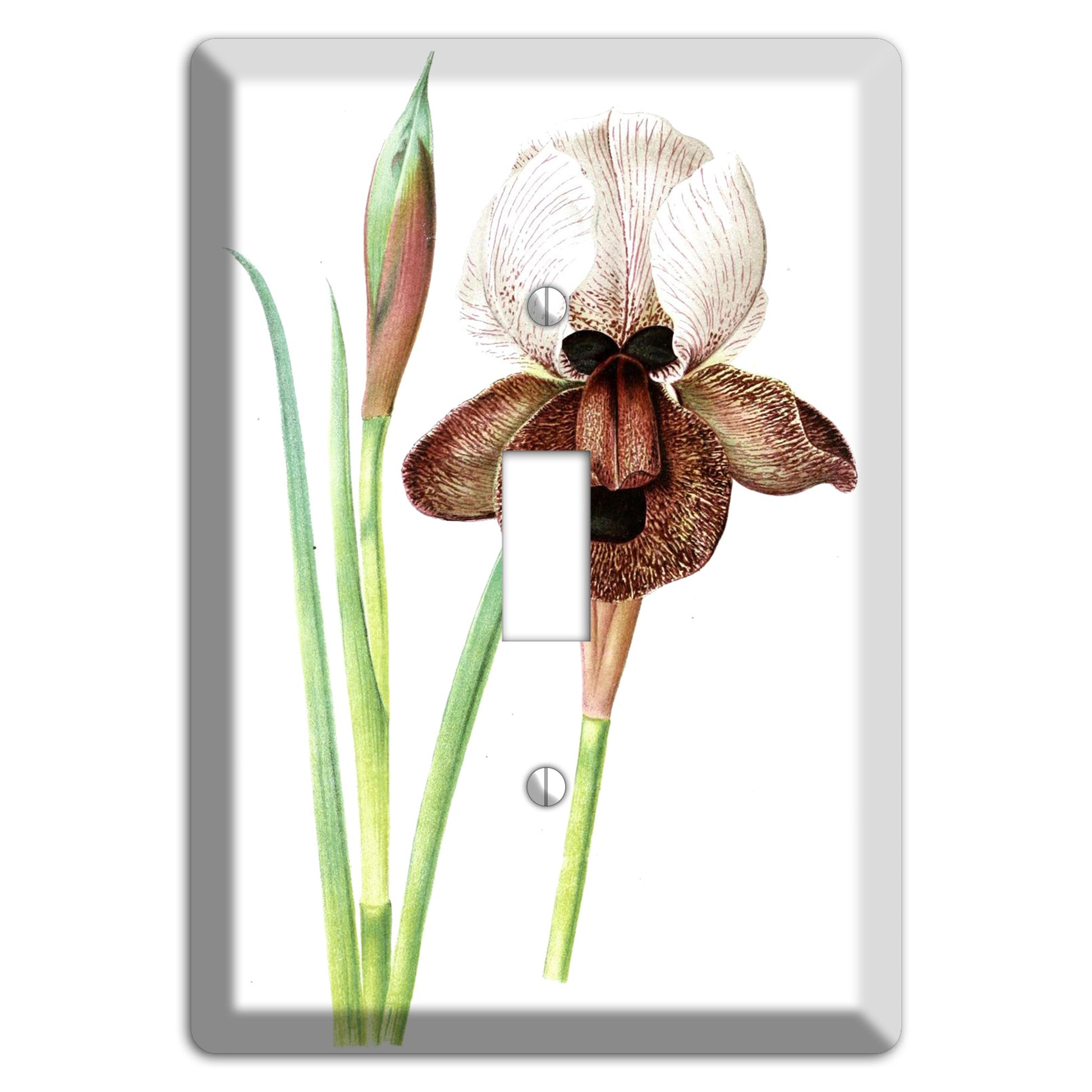 White iris Cover Plates