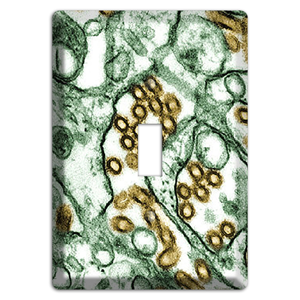 influenza A H5N1 Cover Plates