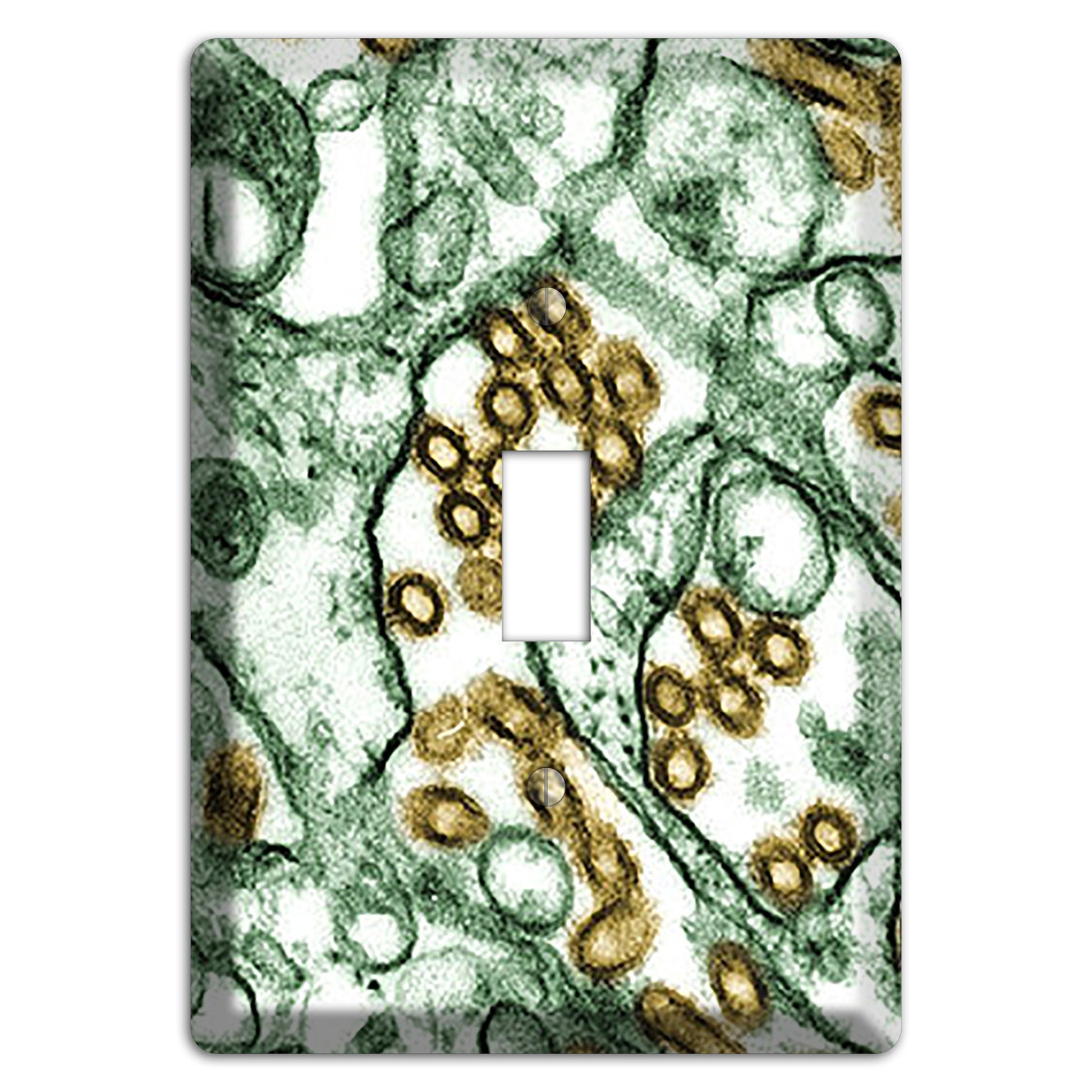 influenza A H5N1 Cover Plates