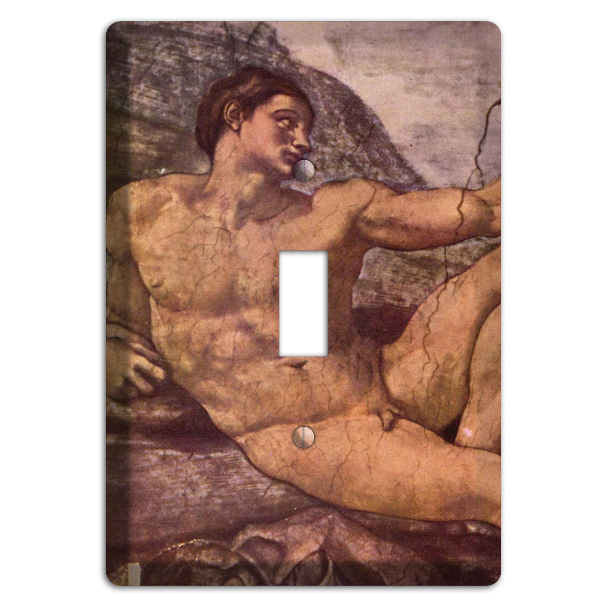Michelangelo 2 Cover Plates