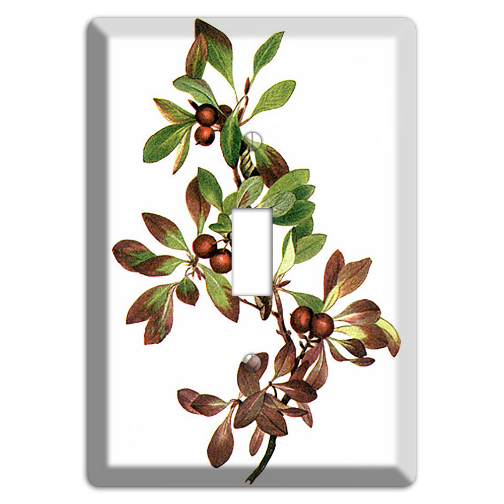 Arietustaphylos Alpha Cover Plates