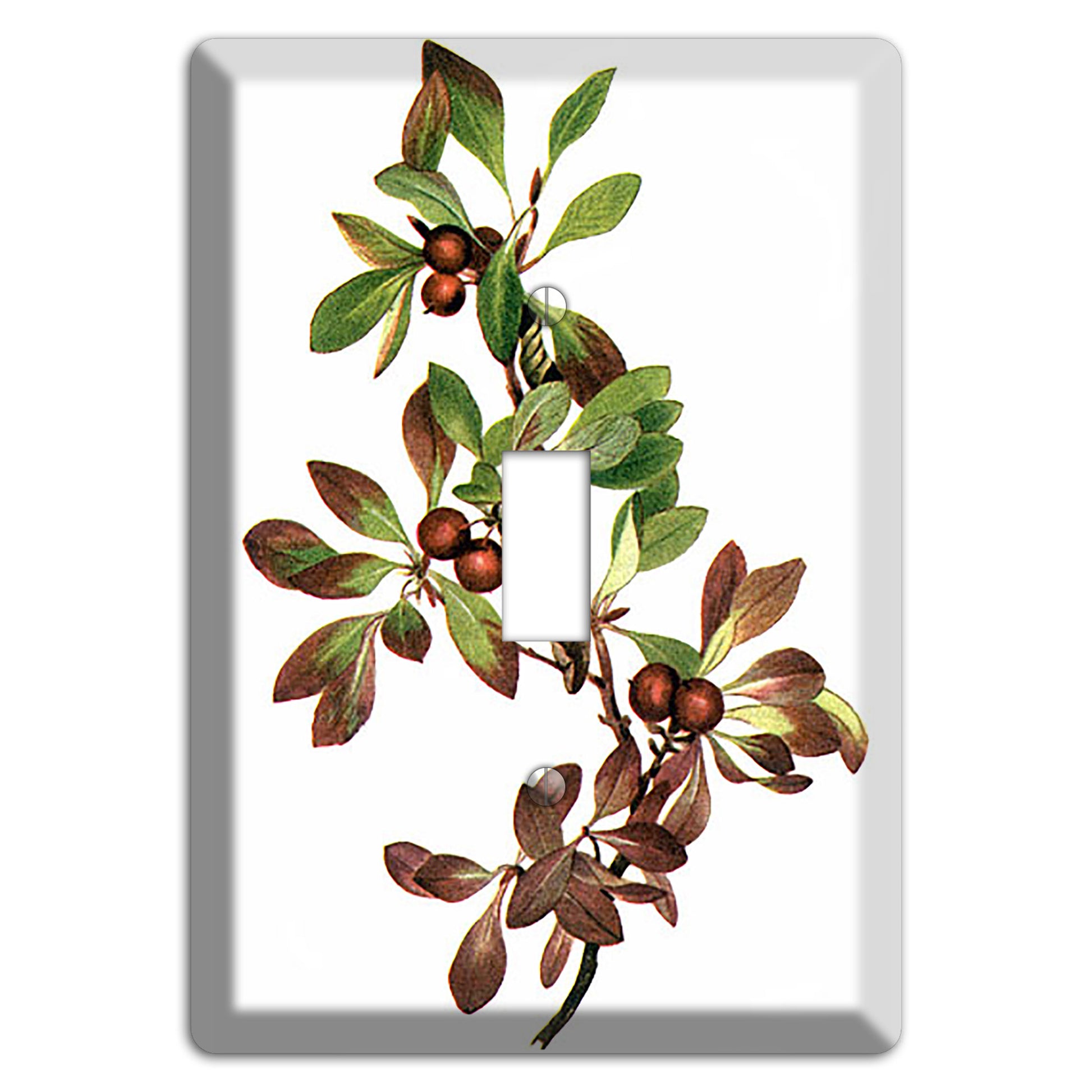 Arietustaphylos Alpha Cover Plates