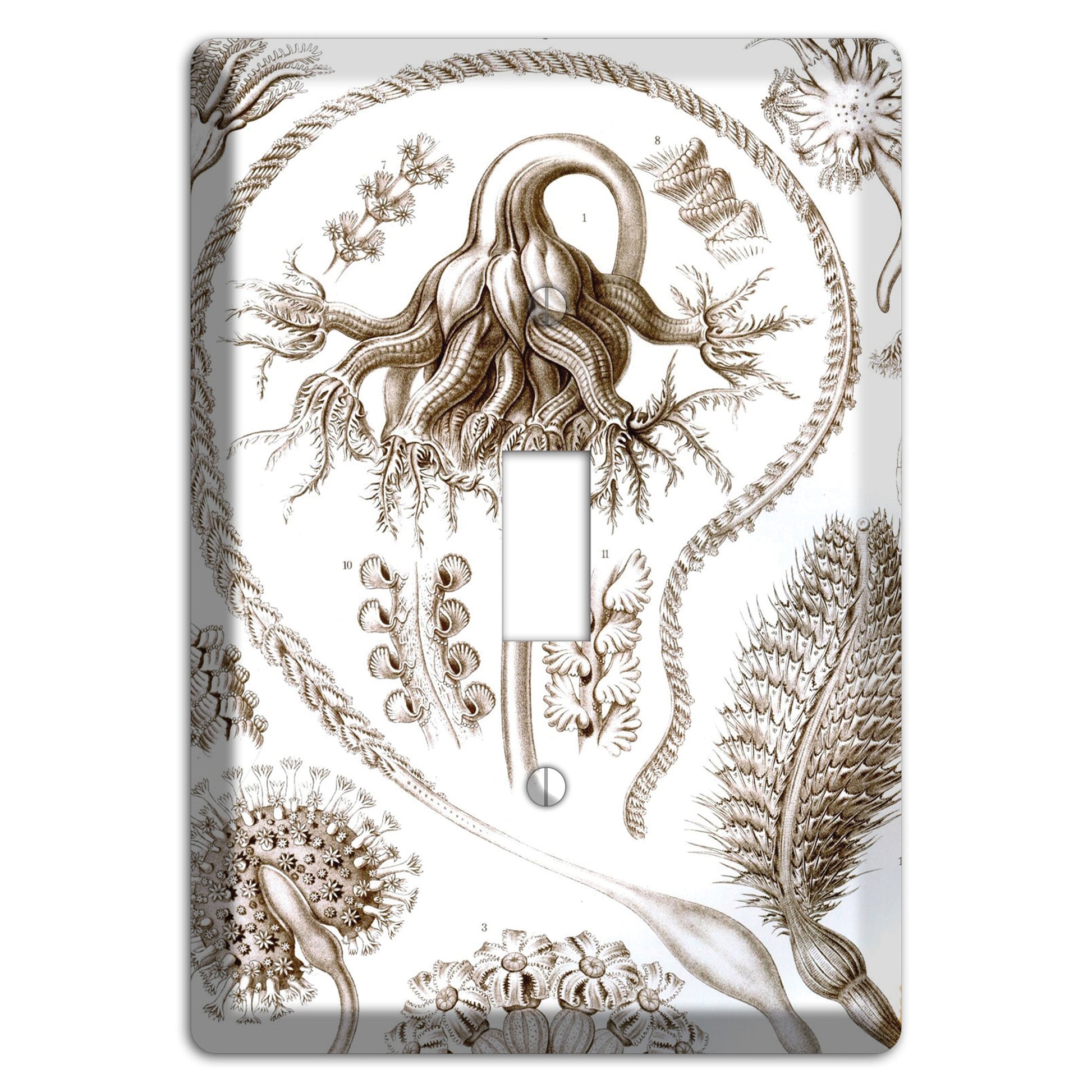 Haeckel - Pennatulida Cover Plates