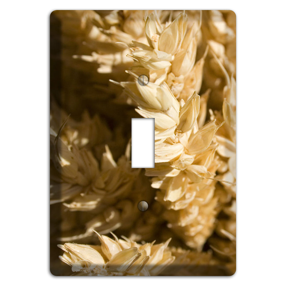 Wheat Cover Plates