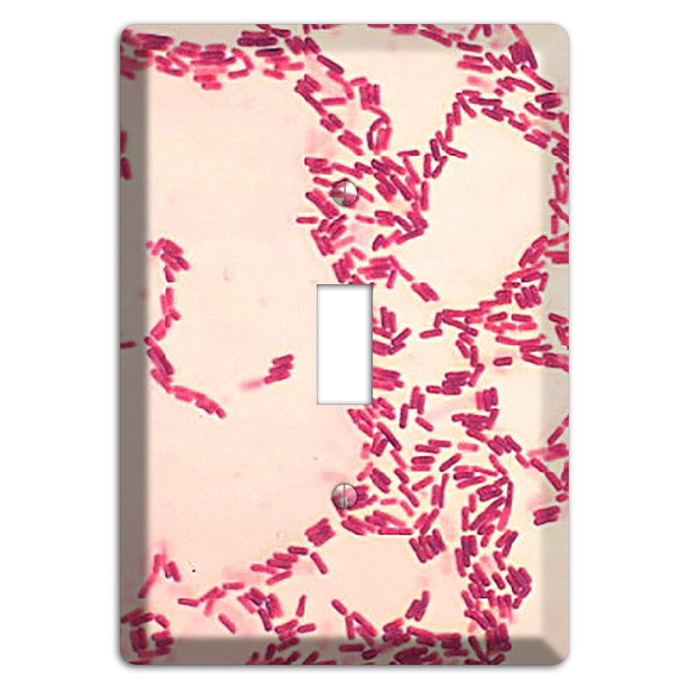 Bacillus Coagulans Cover Plates