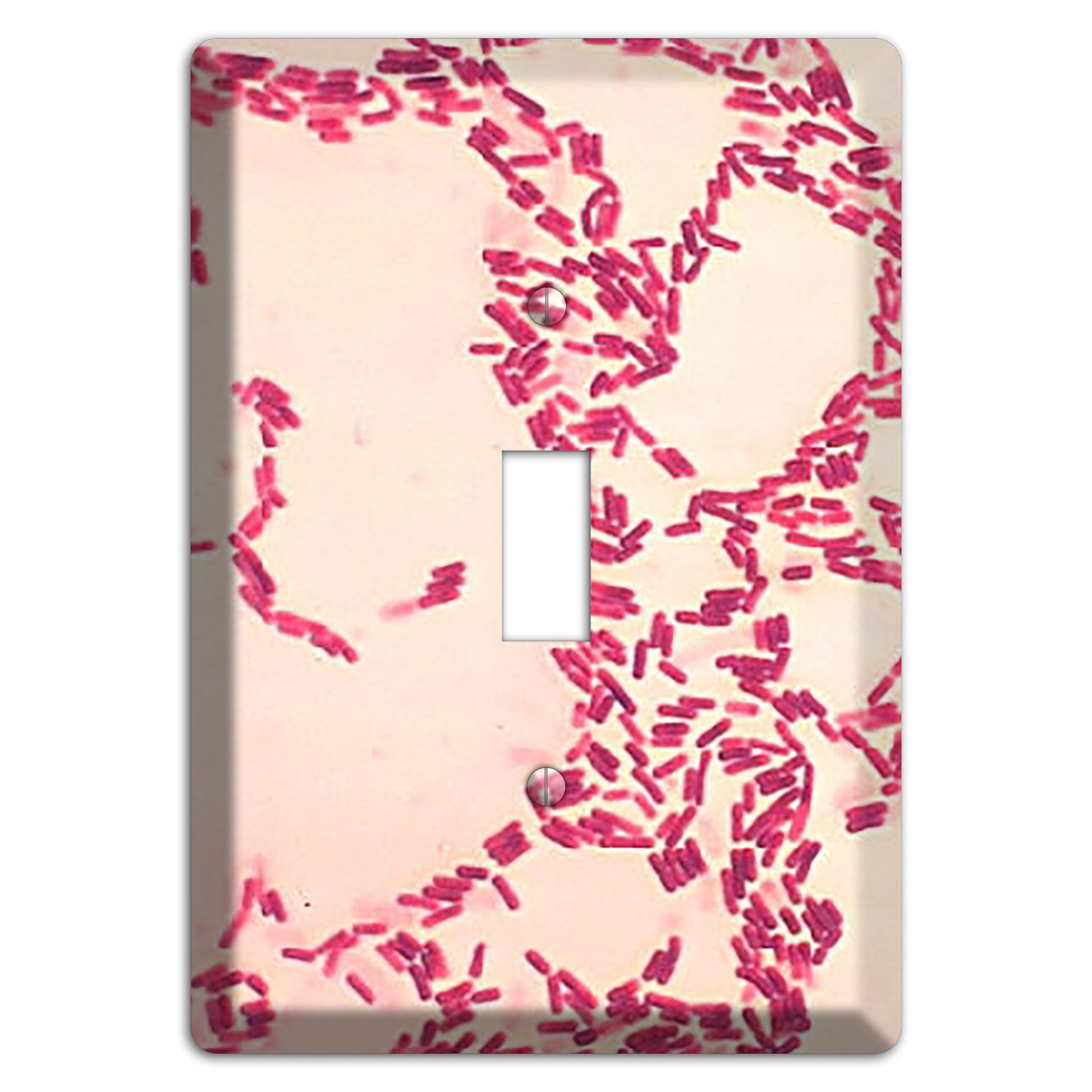 Bacillus Coagulans Cover Plates